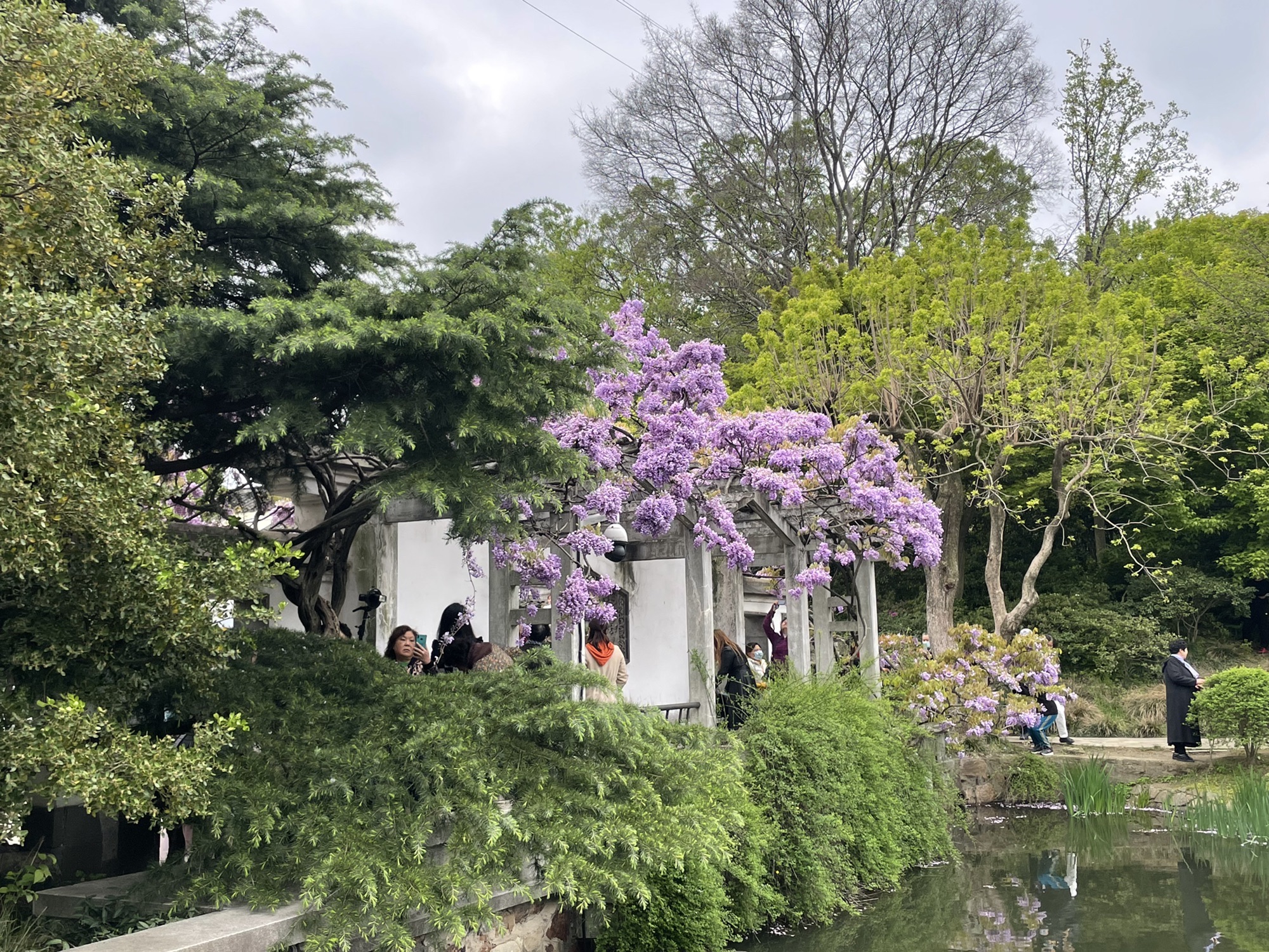 吟苑公园旅行图片 3