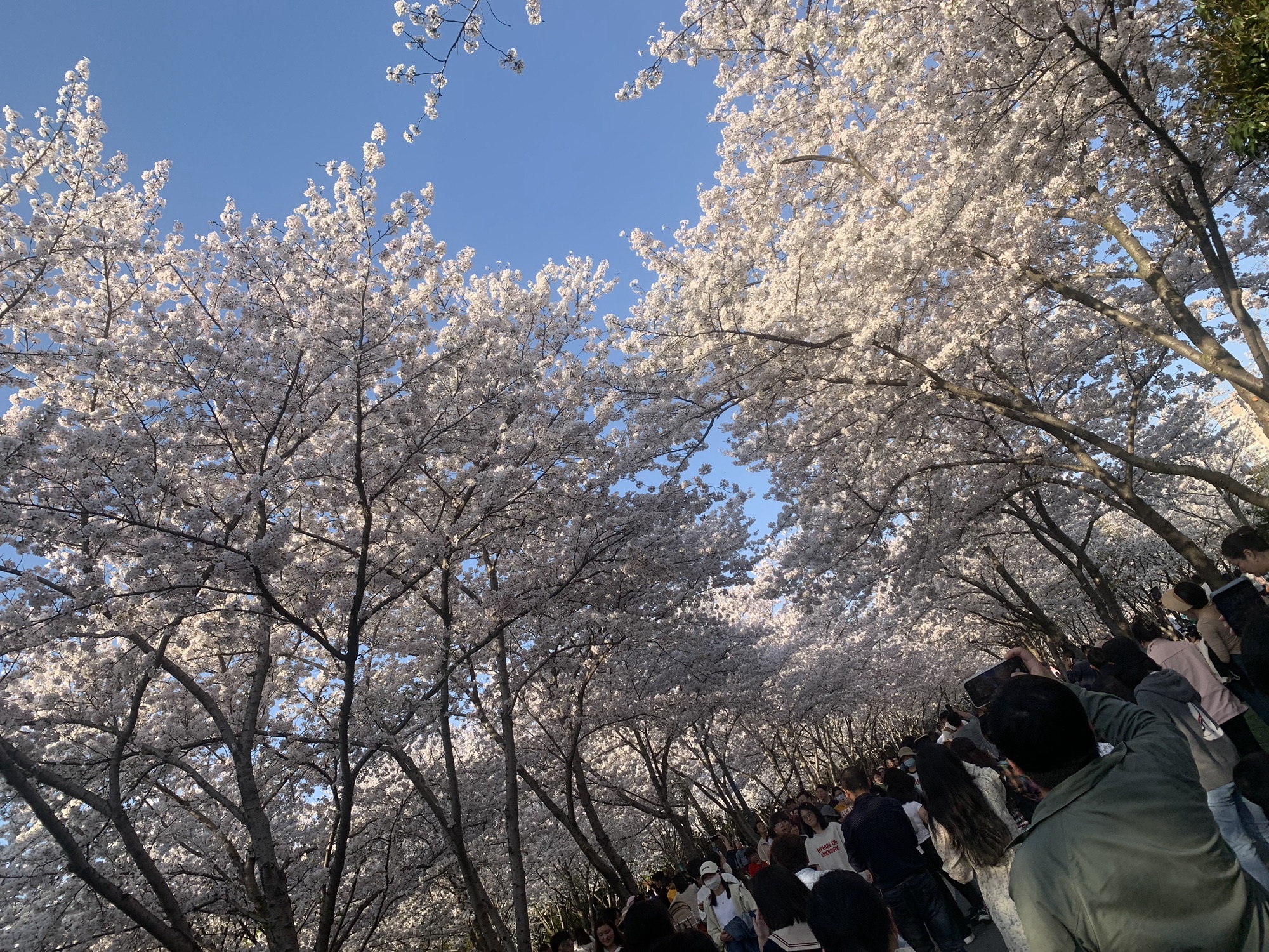 金匮公园旅行图片 1