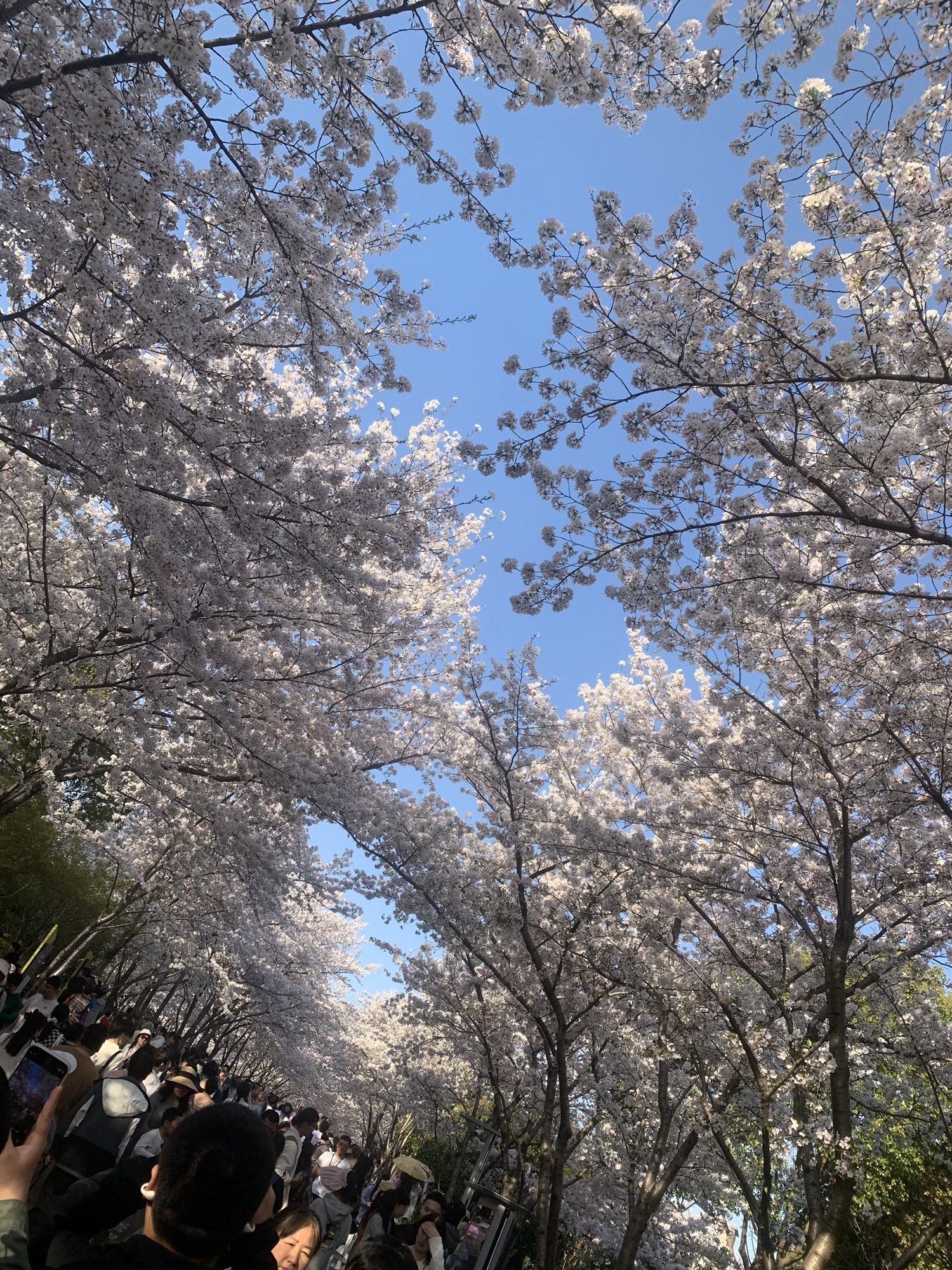 金匮公园旅行图片 2