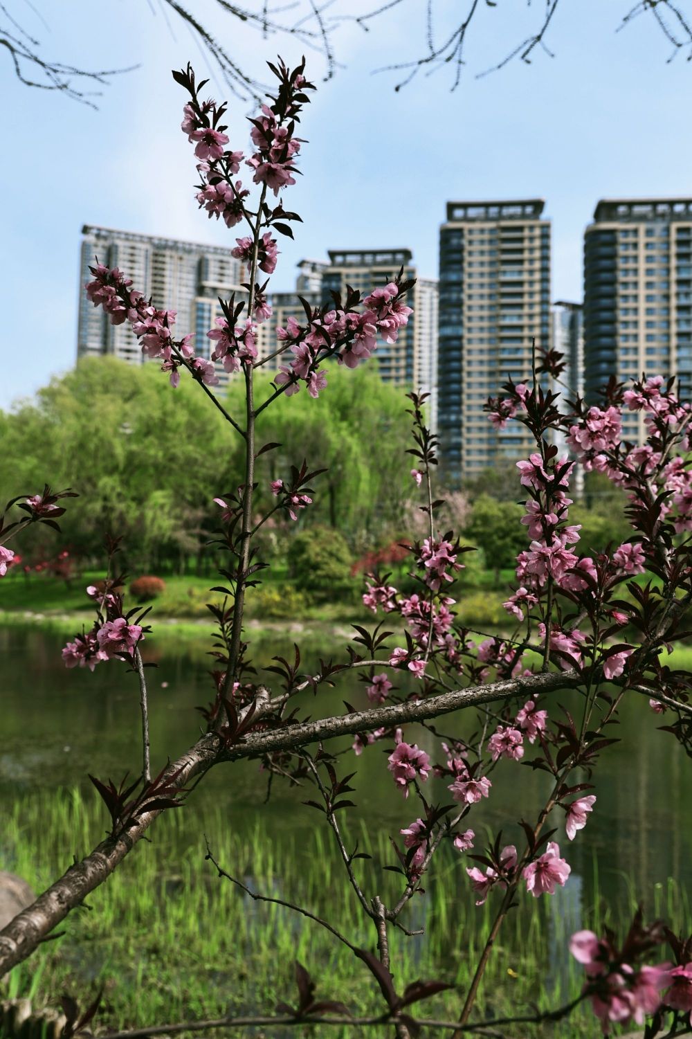 金匮公园旅行图片 3