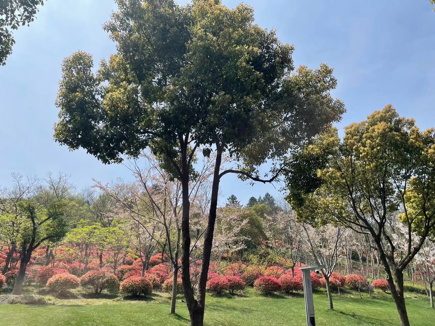 金匮公园旅行图片 2