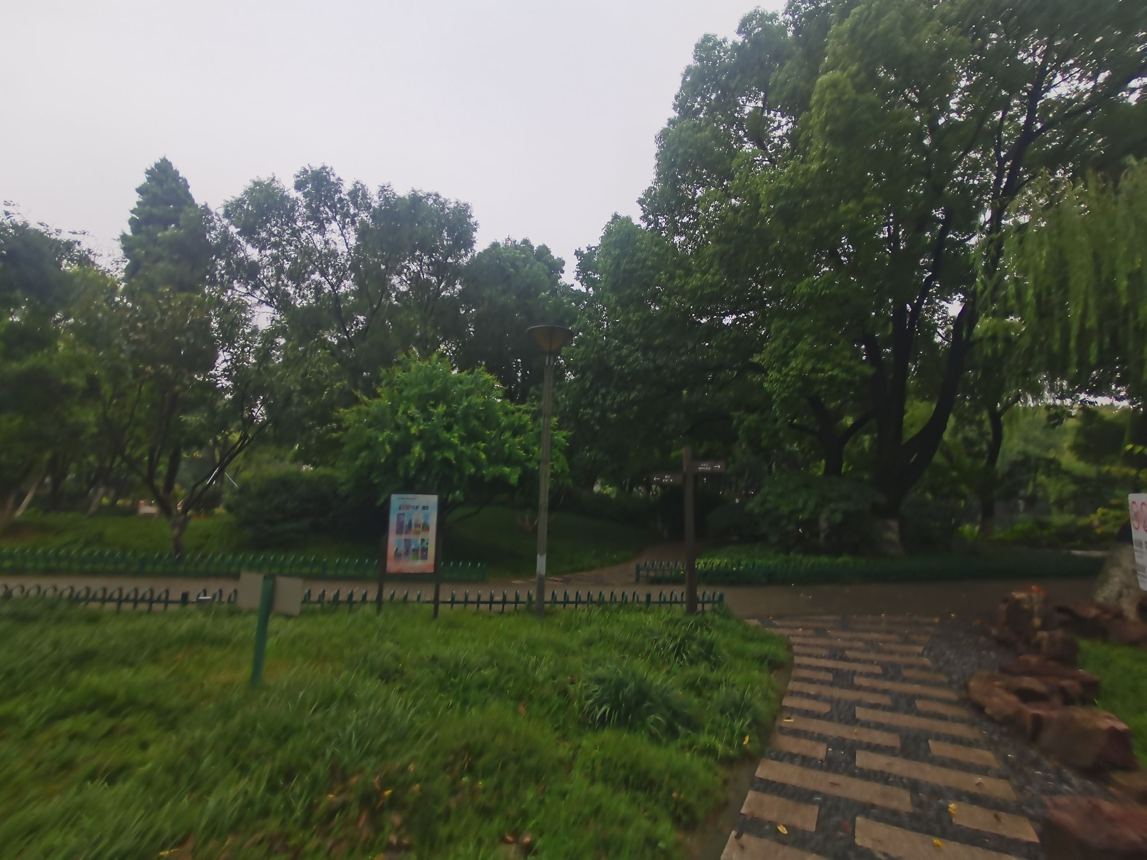 百花园旅行图片 3