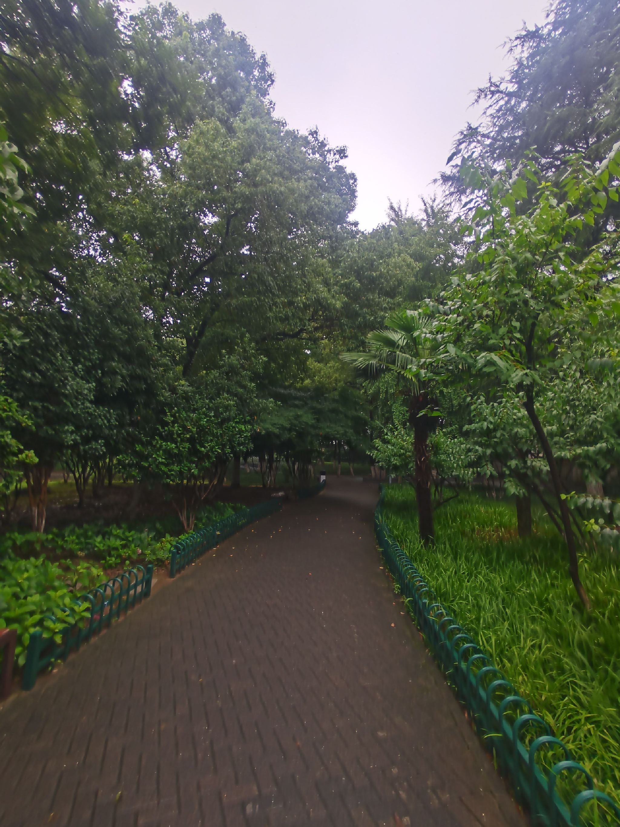 百花园旅行图片 1