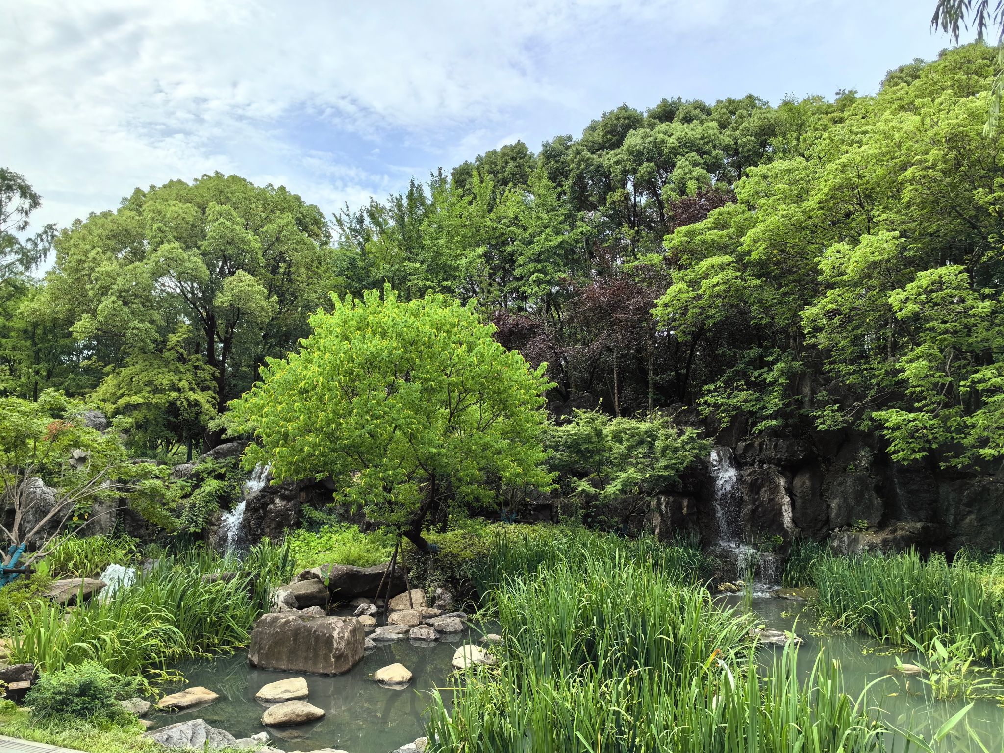 蠡溪公园旅行图片 3