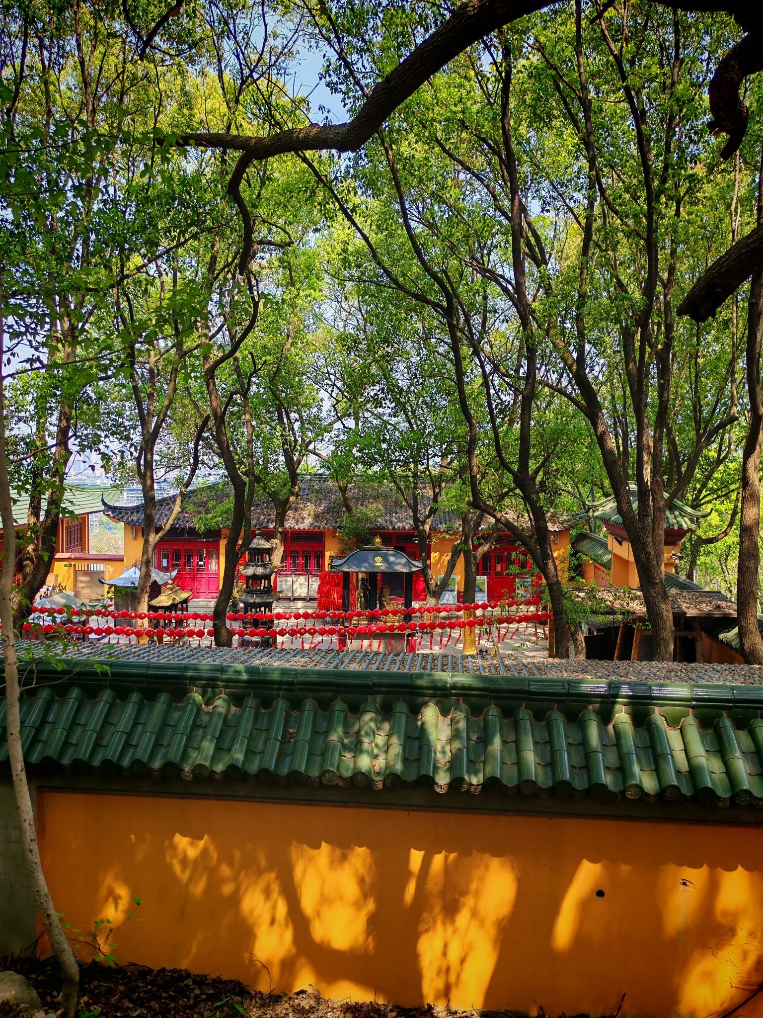 惠山国家森林公园-龙海寺(惠钱路)
