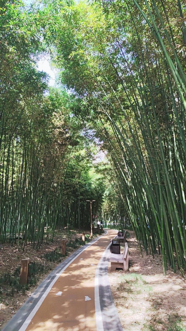 馨和园旅行图片 3