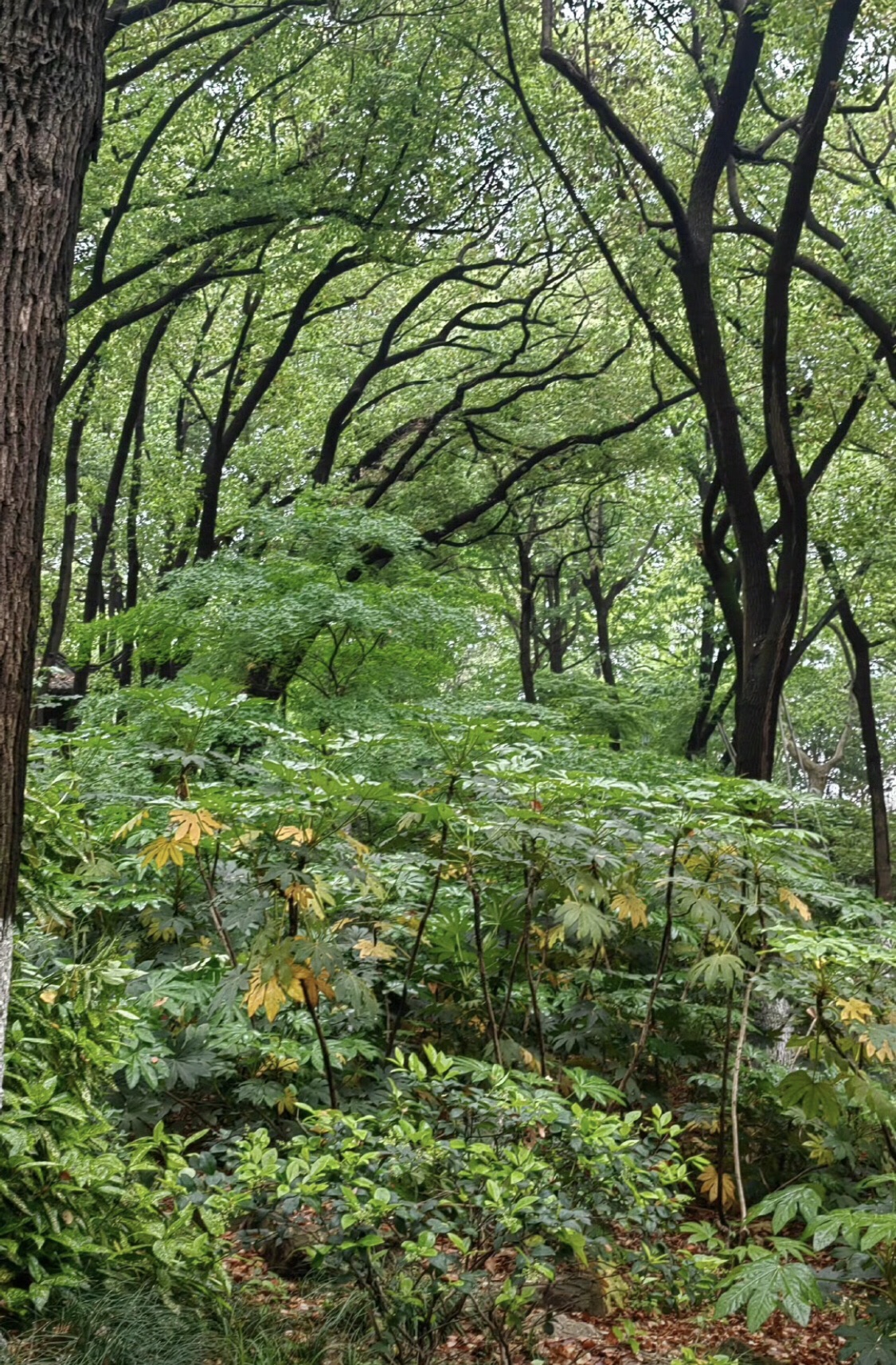 江苏学政文化旅游区旅行图片 2