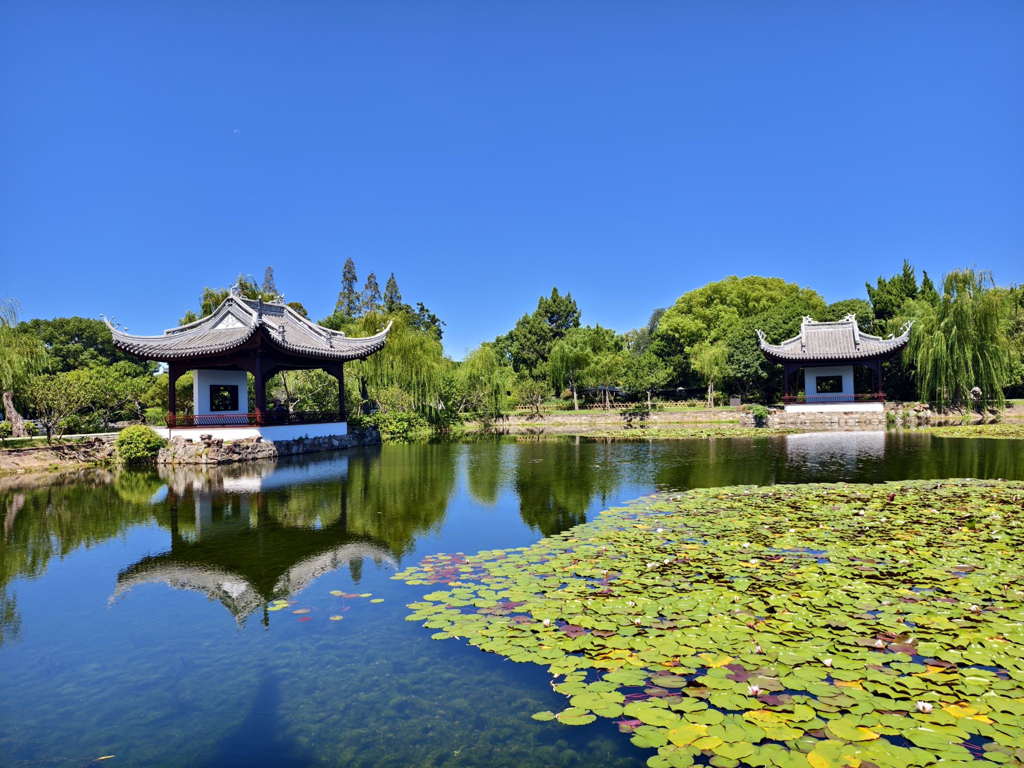 蠡园旅行图片 2