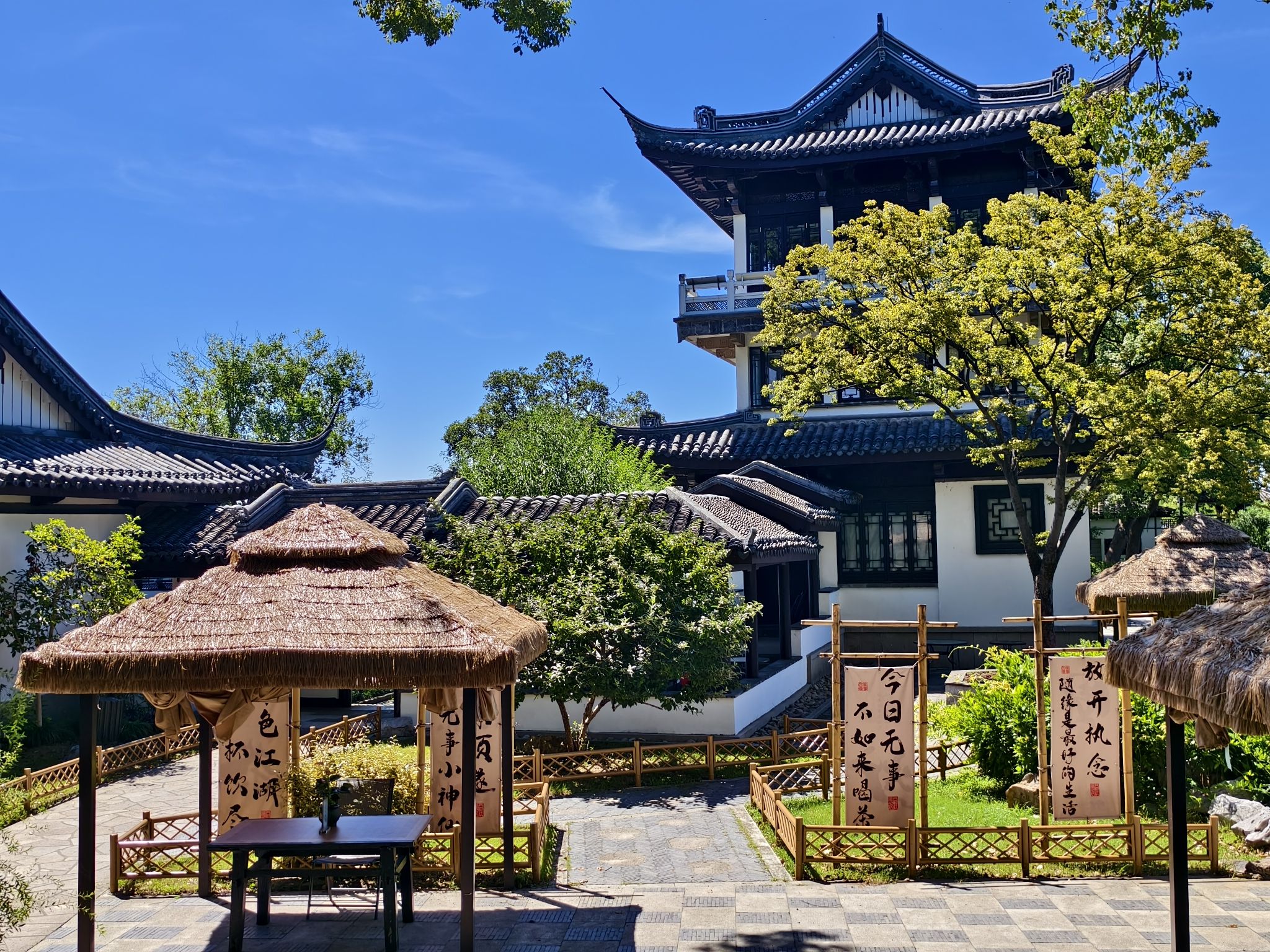 蠡园旅行图片 3