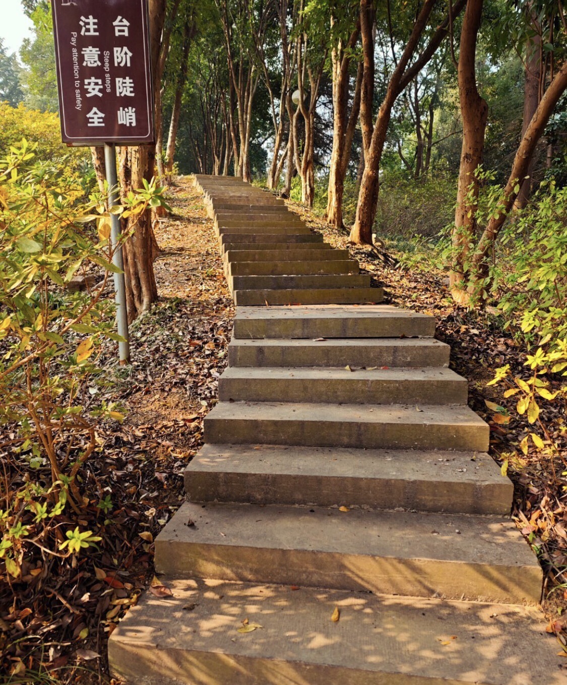 宜兴市团氿风景区旅行图片 2