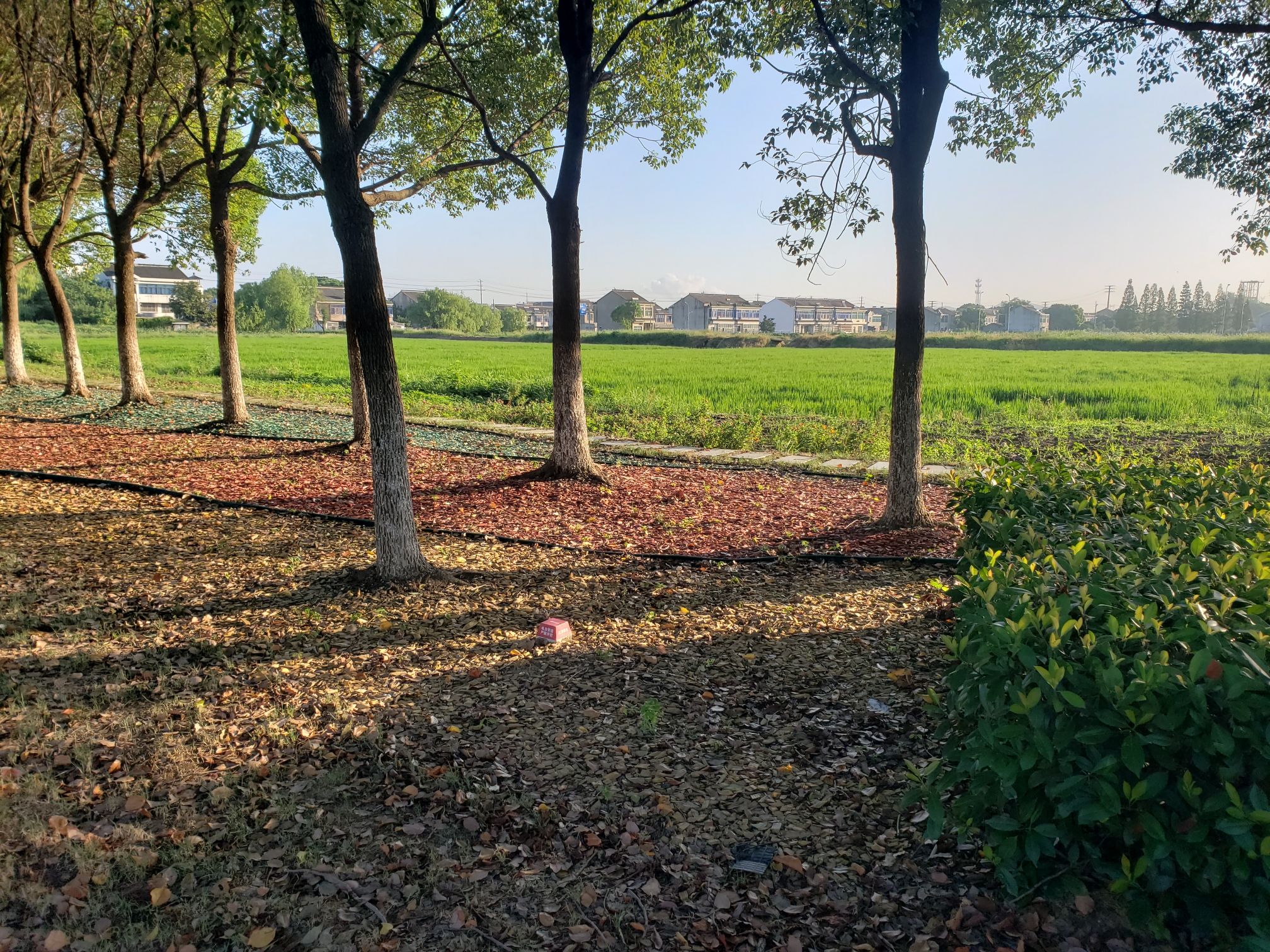 江南名镇水乡月城旅行图片 3