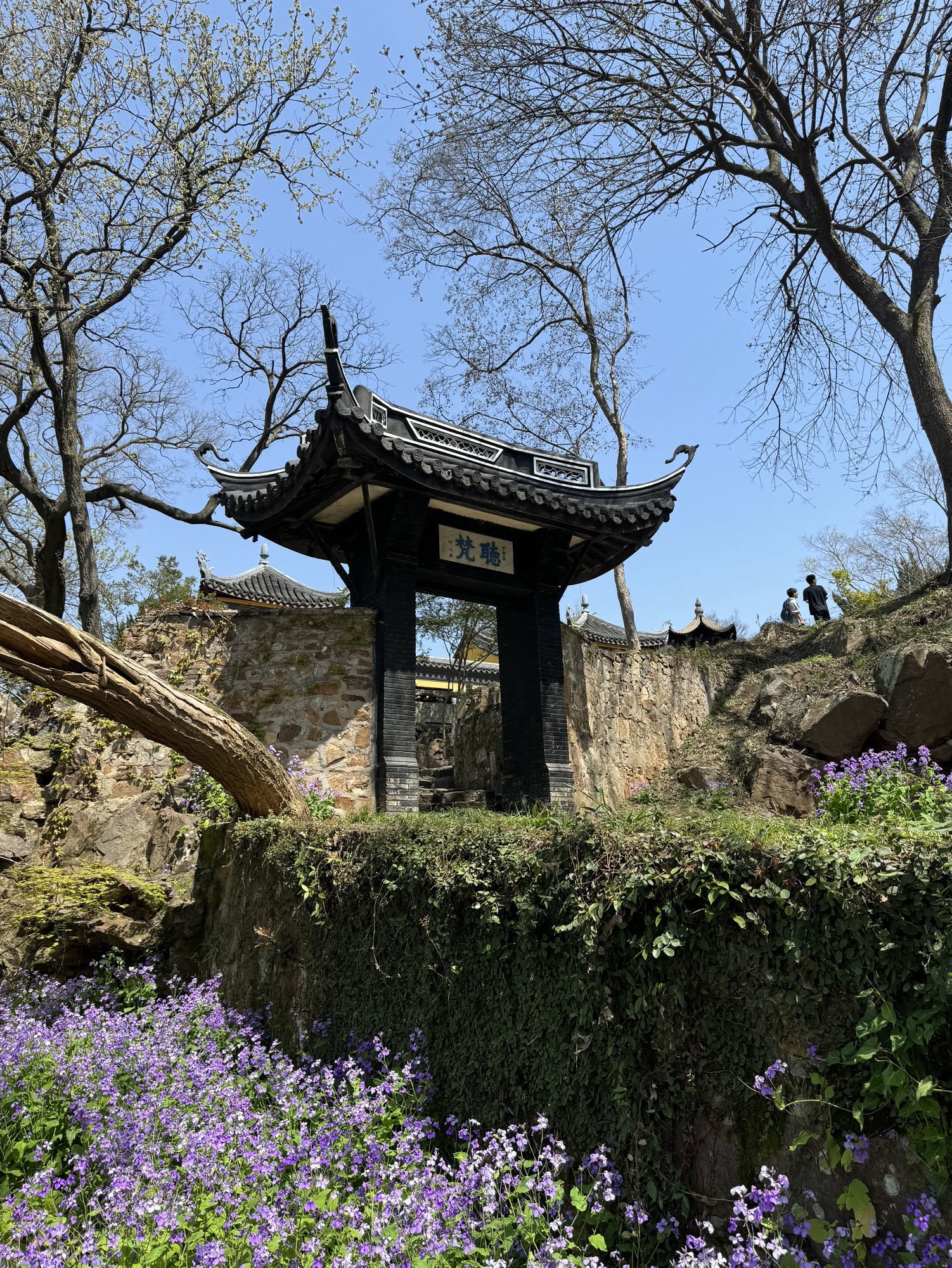 管社山庄公园旅行图片 3