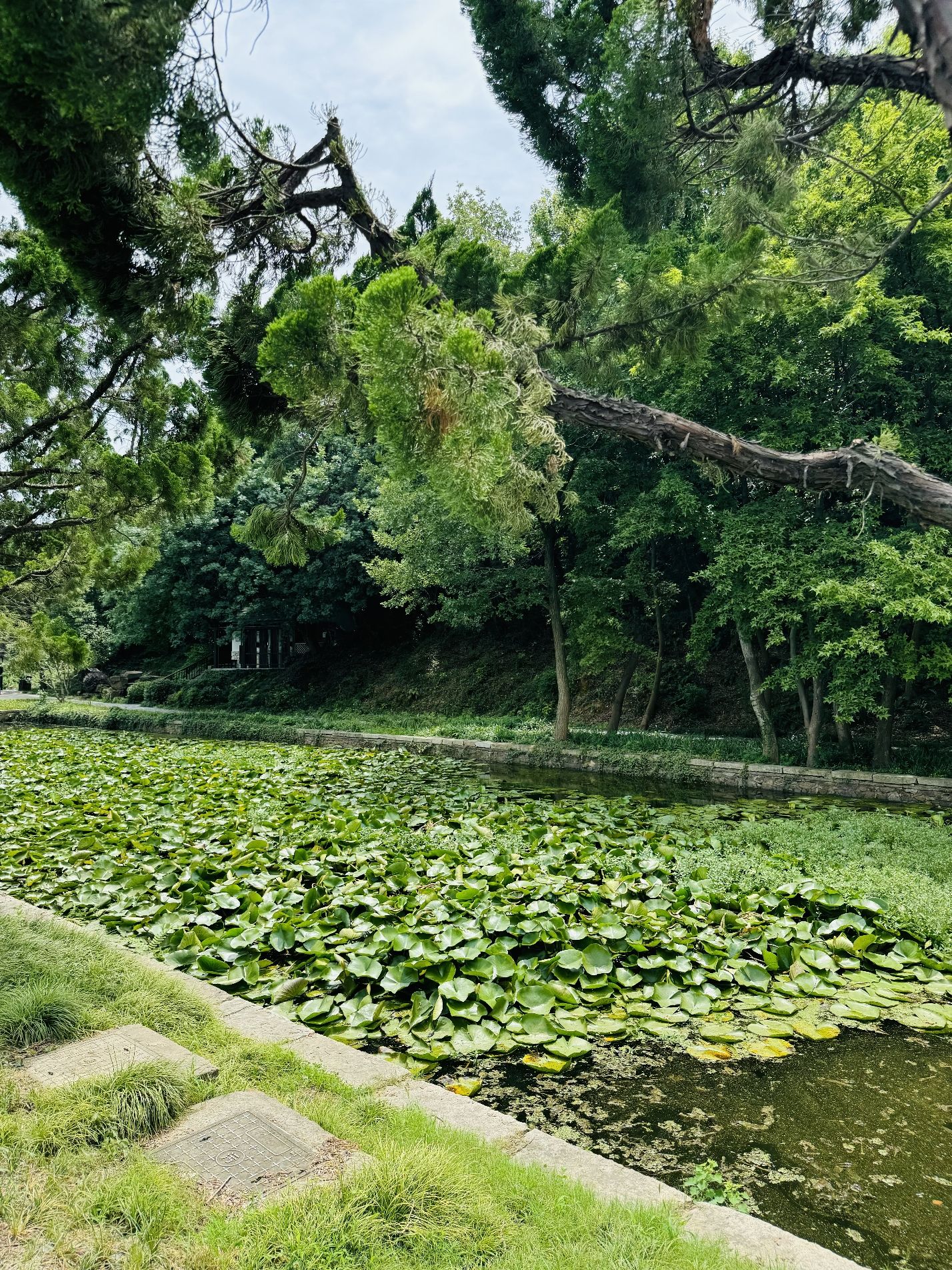 管社山庄公园旅行图片 2
