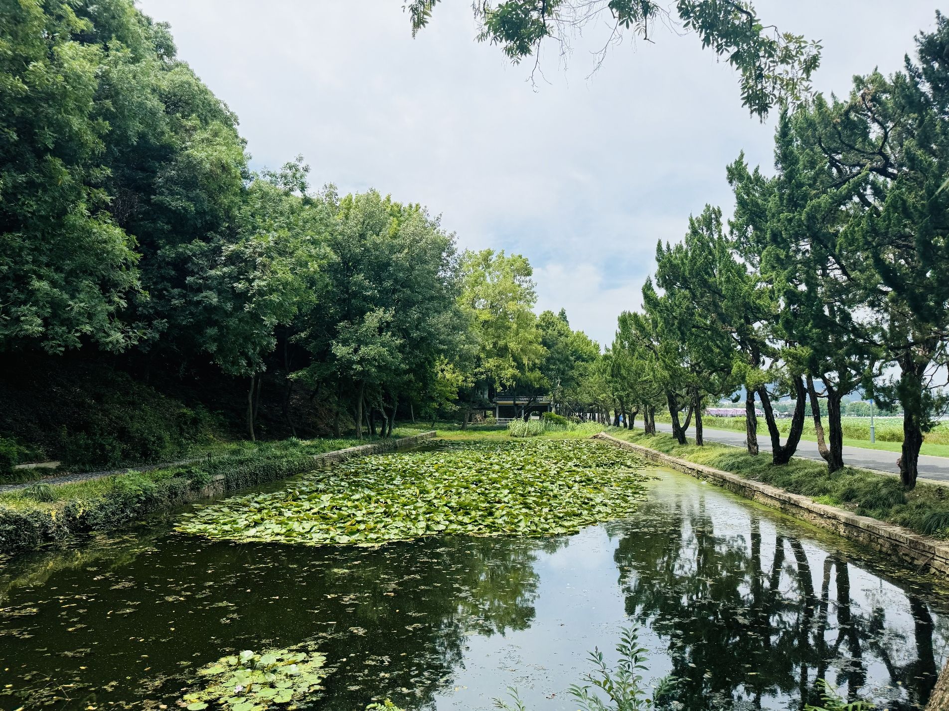 管社山庄公园旅行图片 3