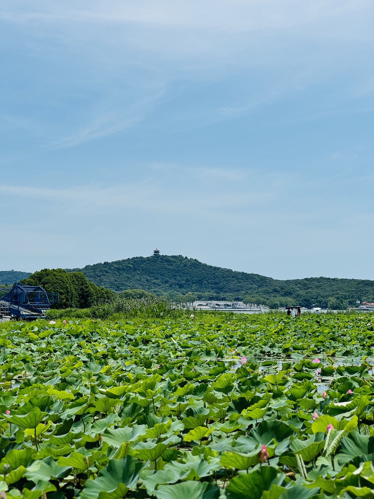 管社山庄公园旅行图片 1