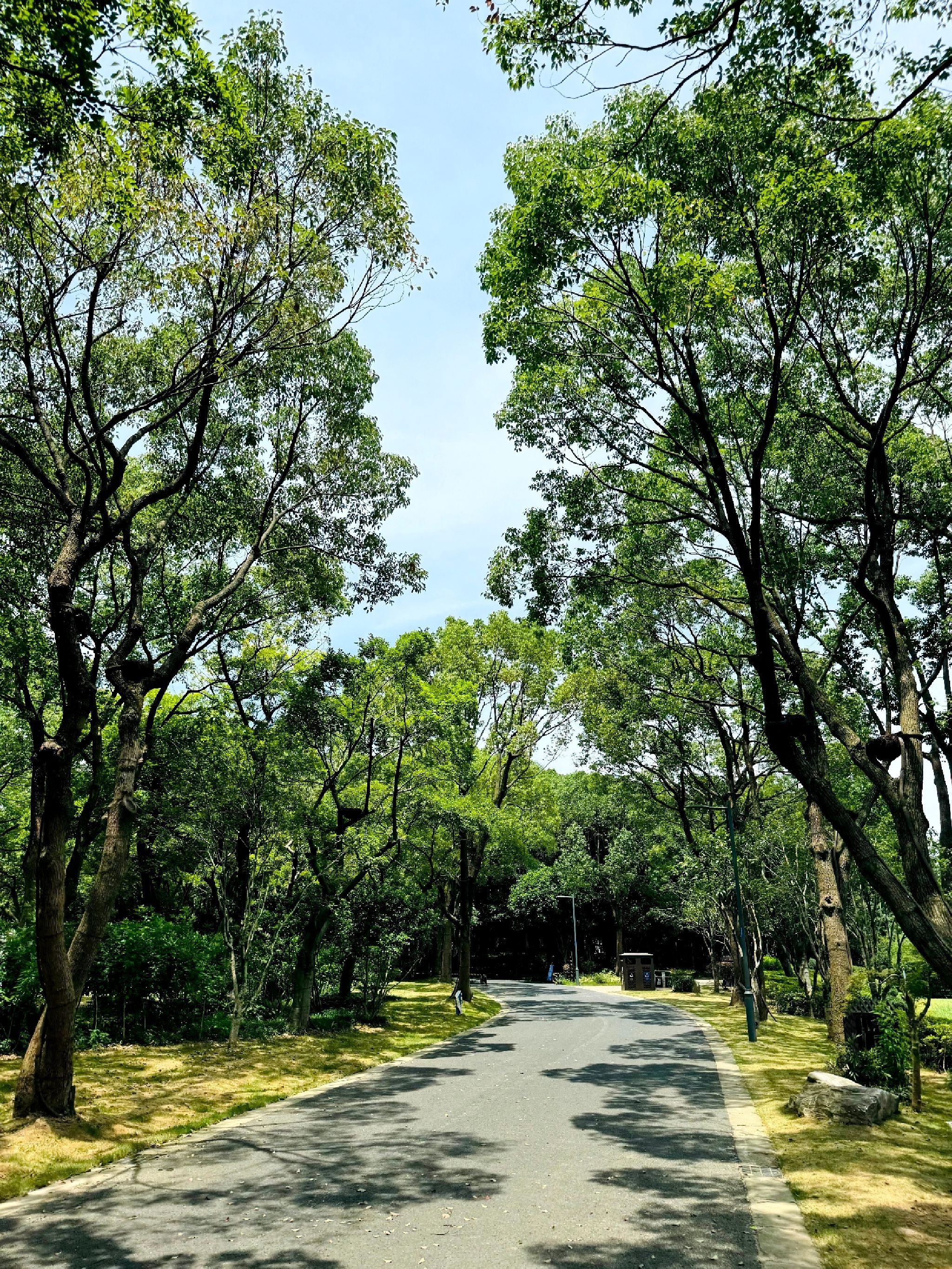 管社山庄公园旅行图片 1
