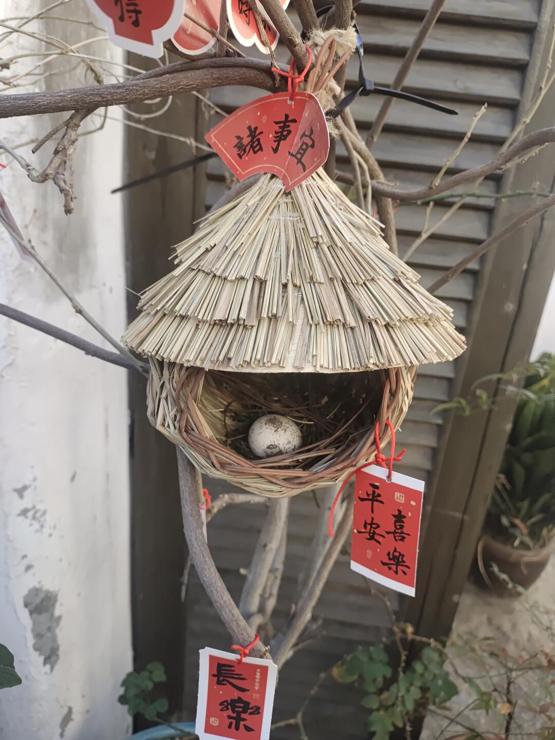 东坡书院旅行图片 2