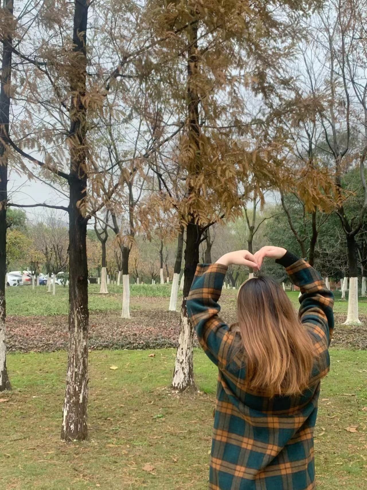 望江公园旅行图片 1
