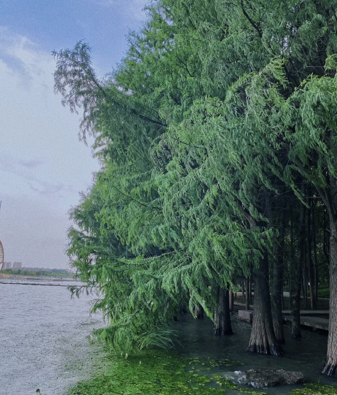 水居苑旅行图片 2