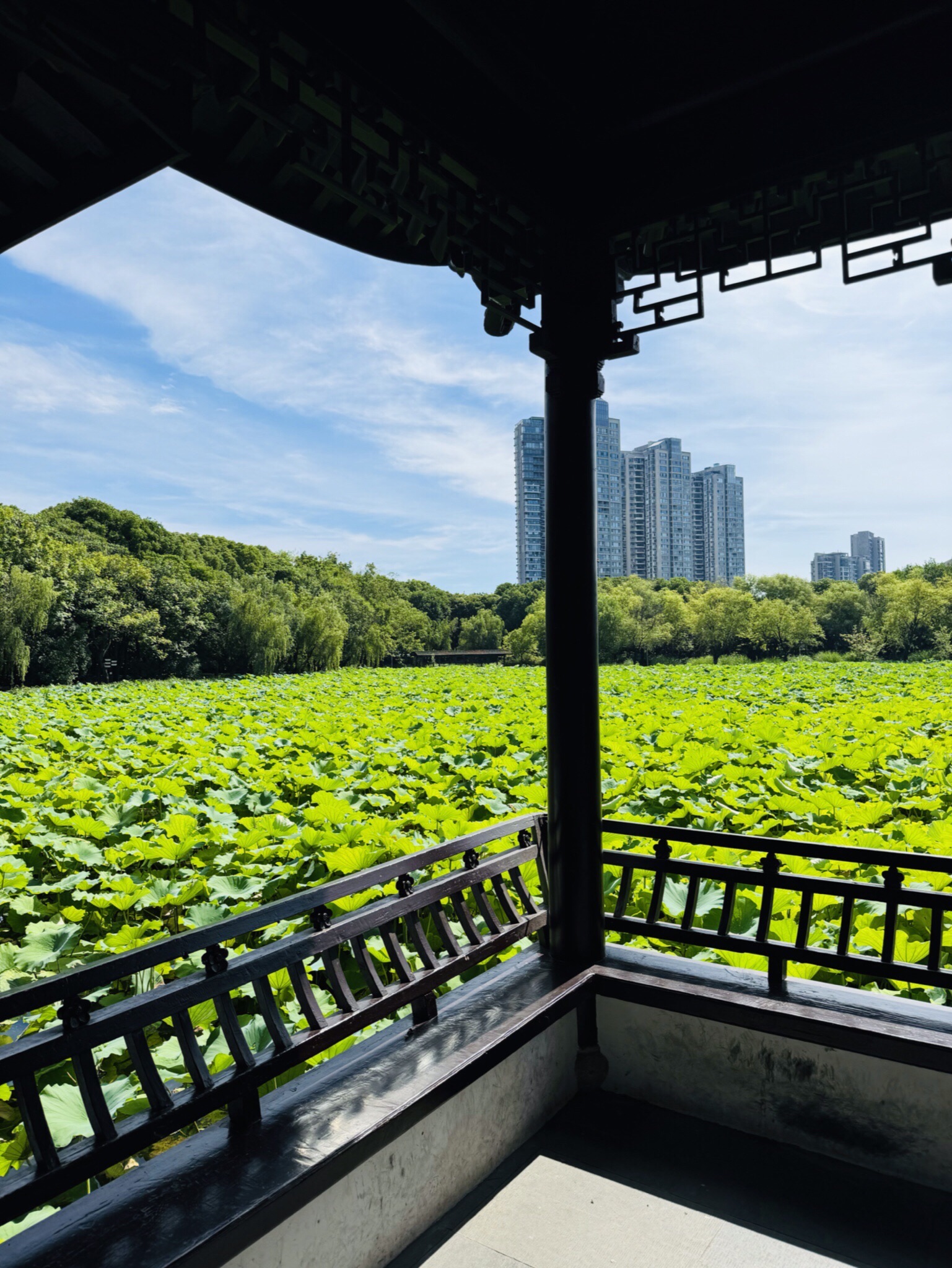 水居苑旅行图片 2