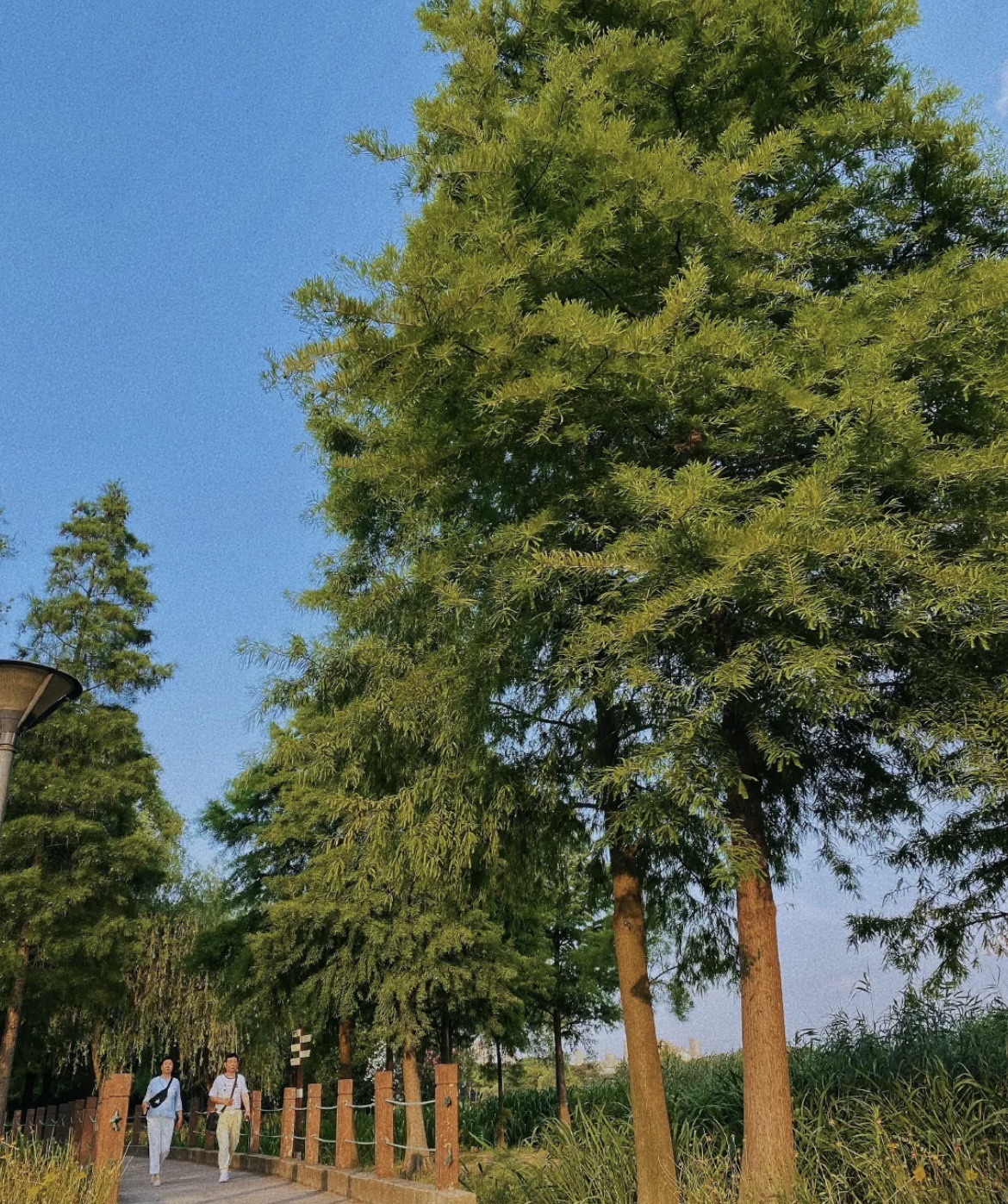 水居苑旅行图片 3