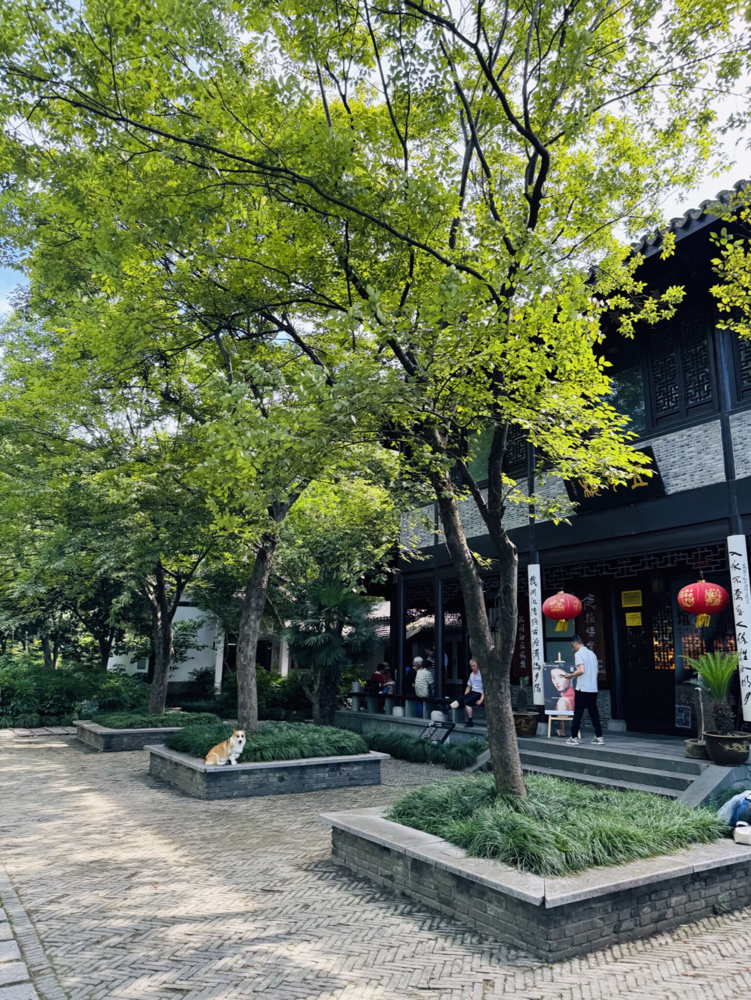 水居苑旅行图片 3