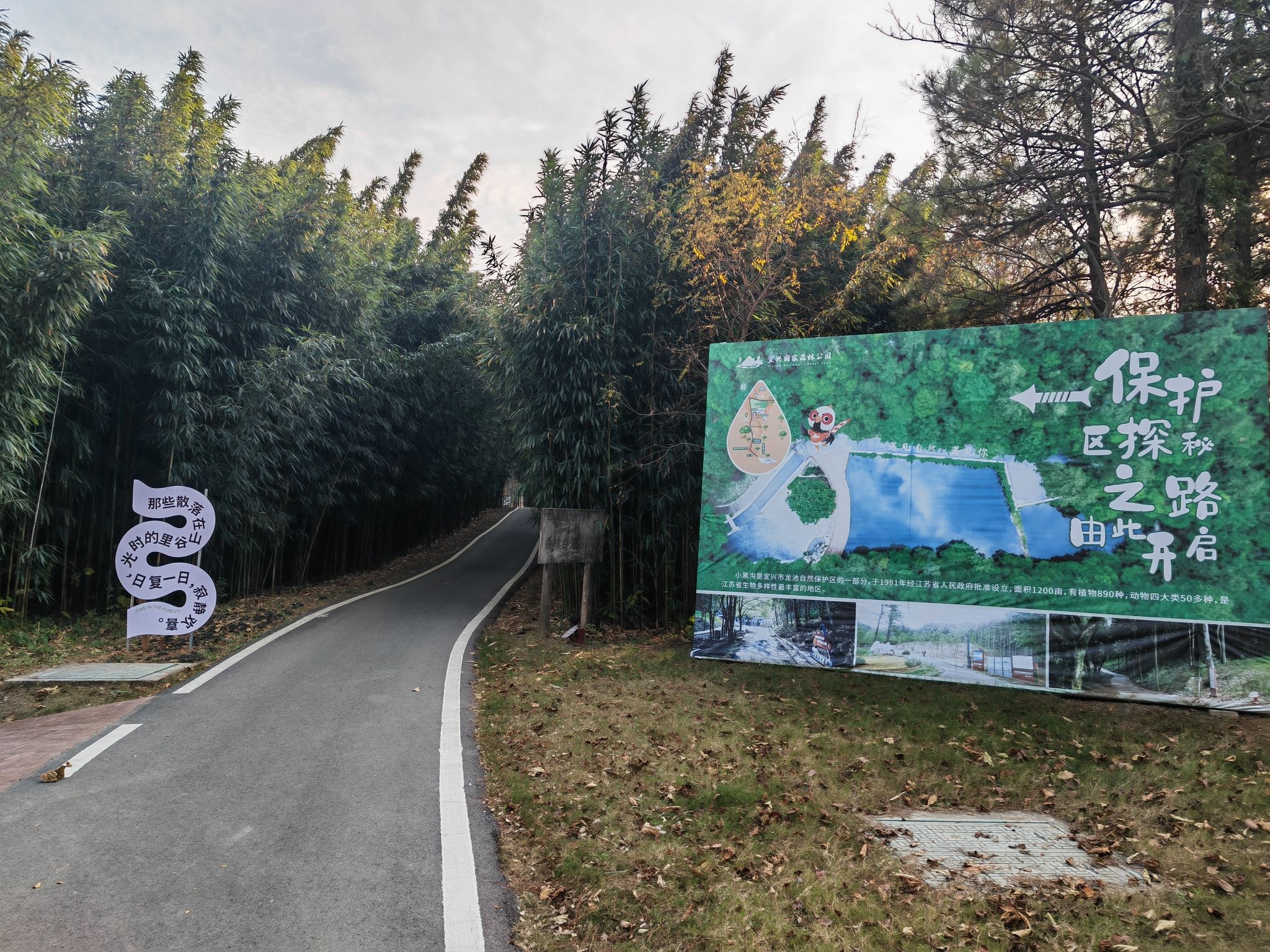 宜兴国家森林公园旅行图片 2