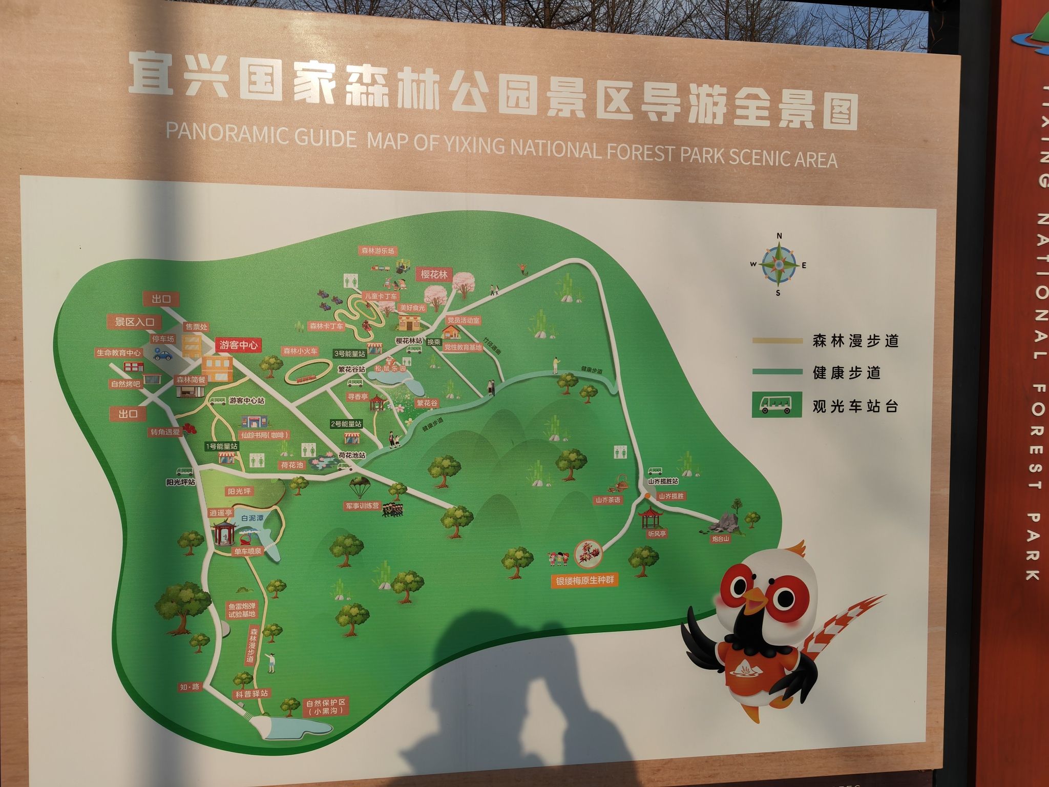 宜兴国家森林公园旅行图片 1