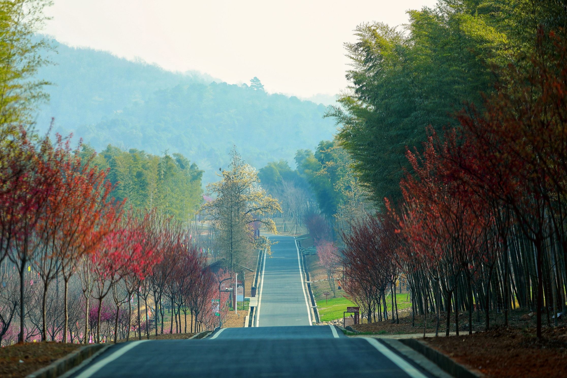 宜兴国家森林公园旅行图片 2
