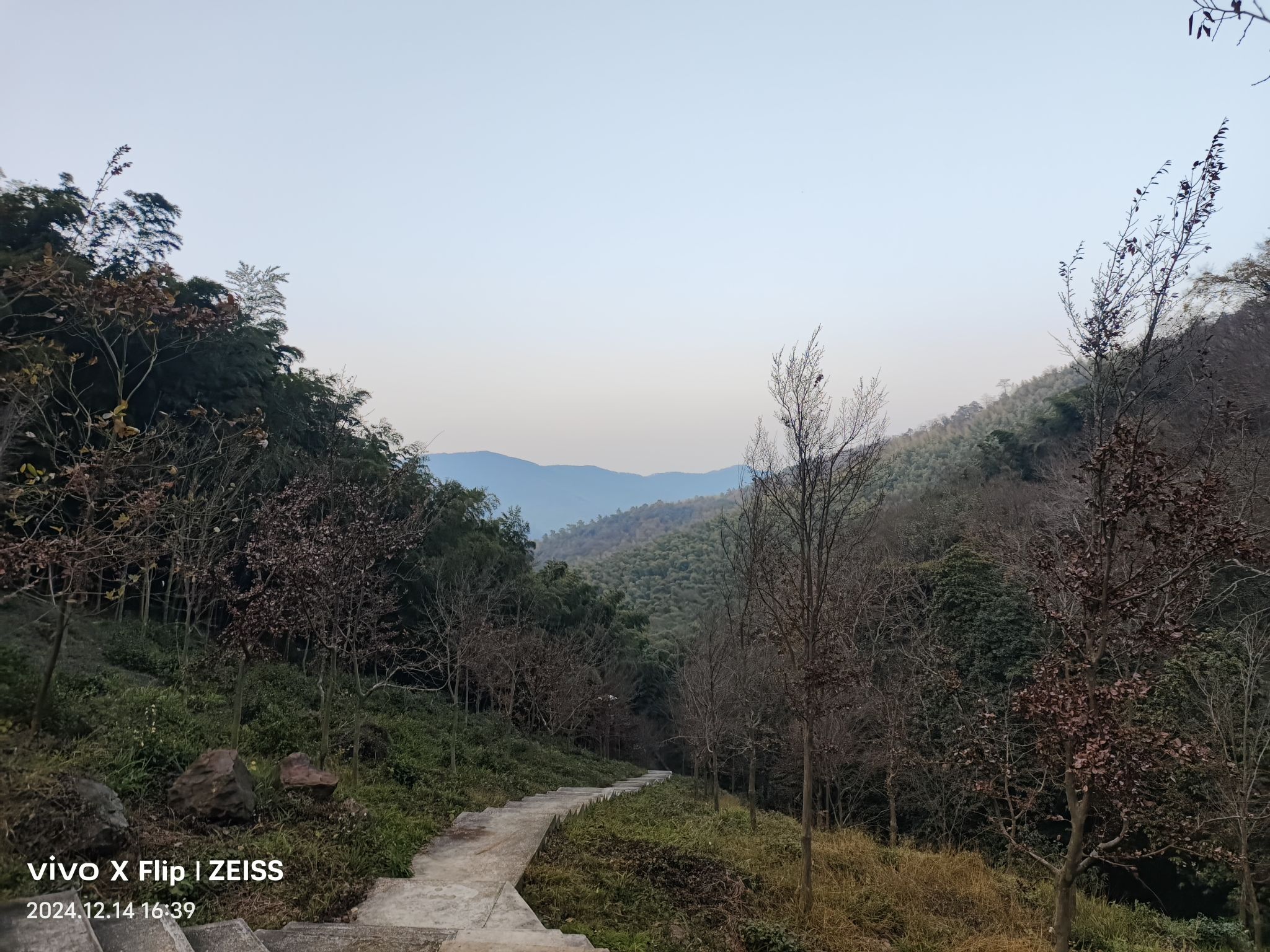 宜兴国家森林公园旅行图片 1