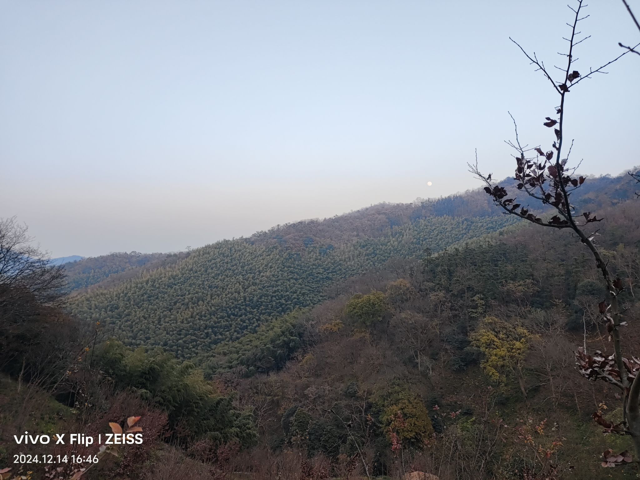 宜兴国家森林公园旅行图片 2