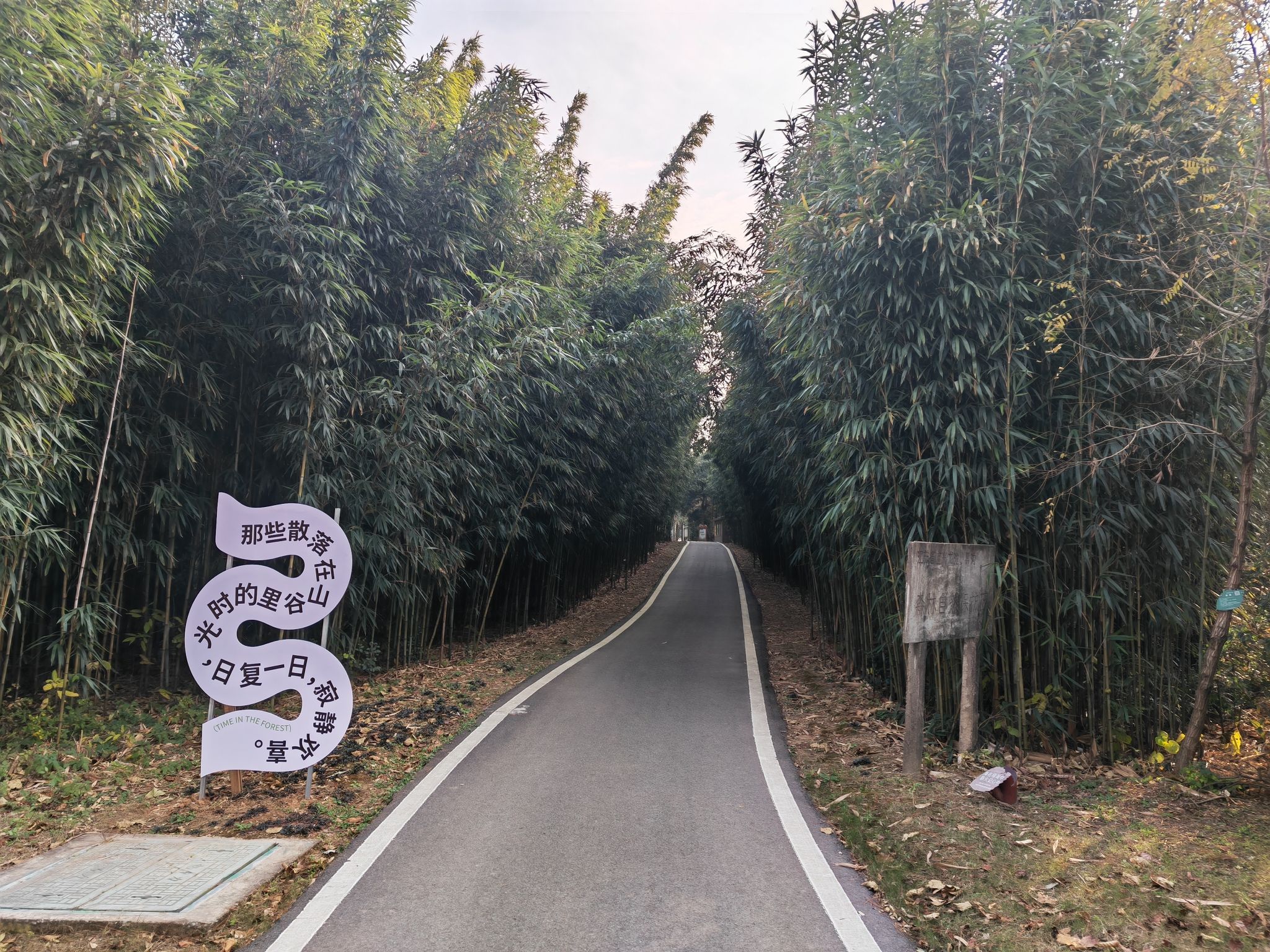 宜兴国家森林公园旅行图片 3