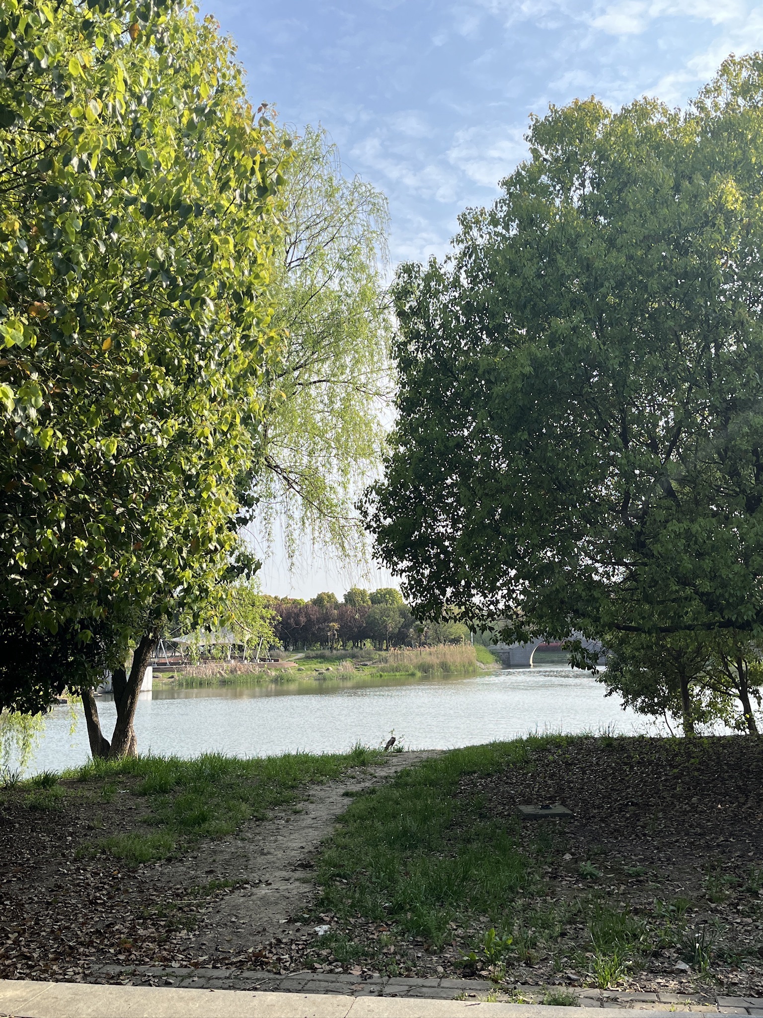 金顾山公园旅行图片 1