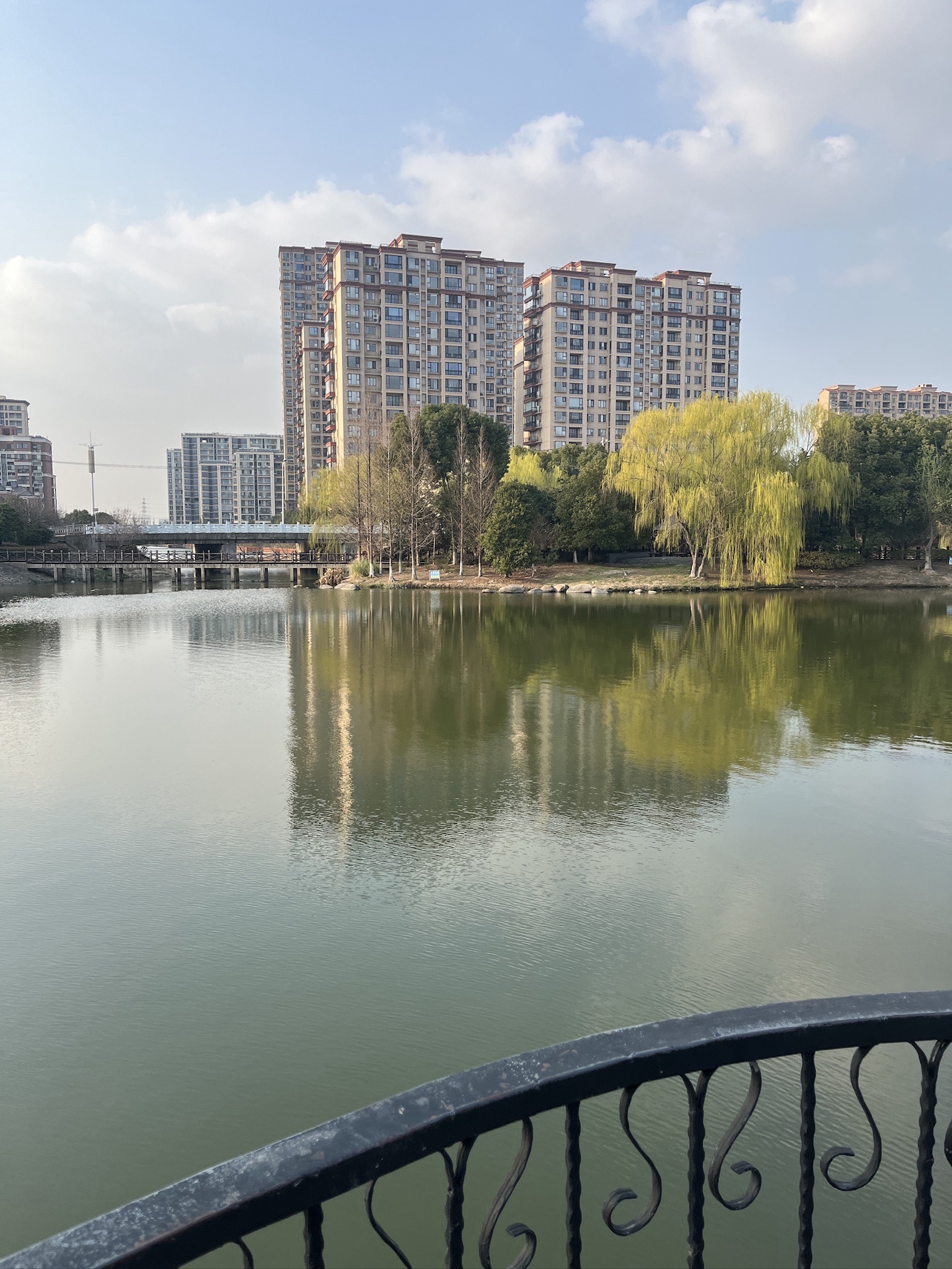 金顾山公园旅行图片 3