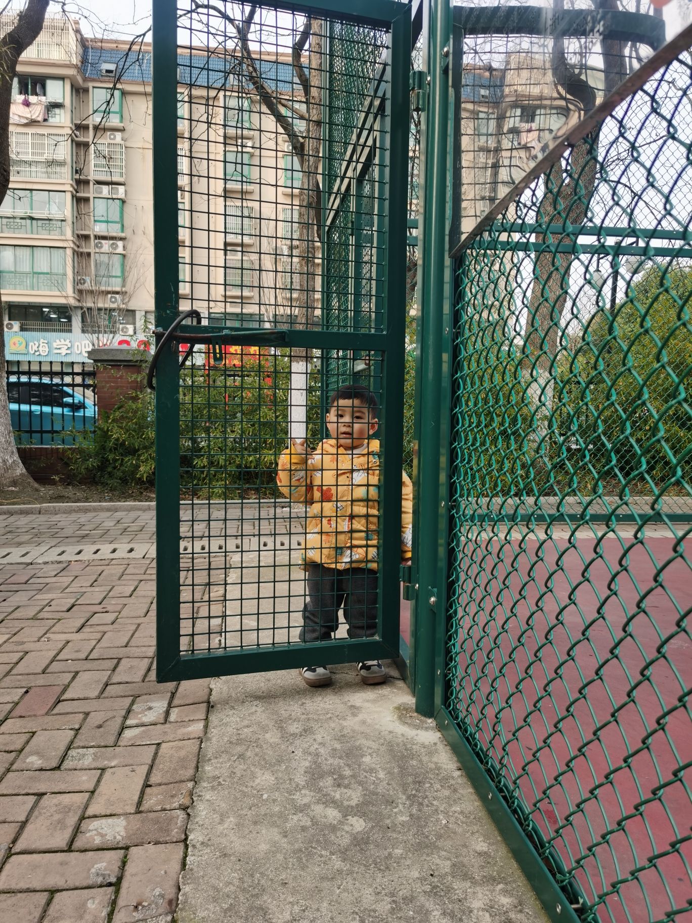 和泽公园旅行图片 1