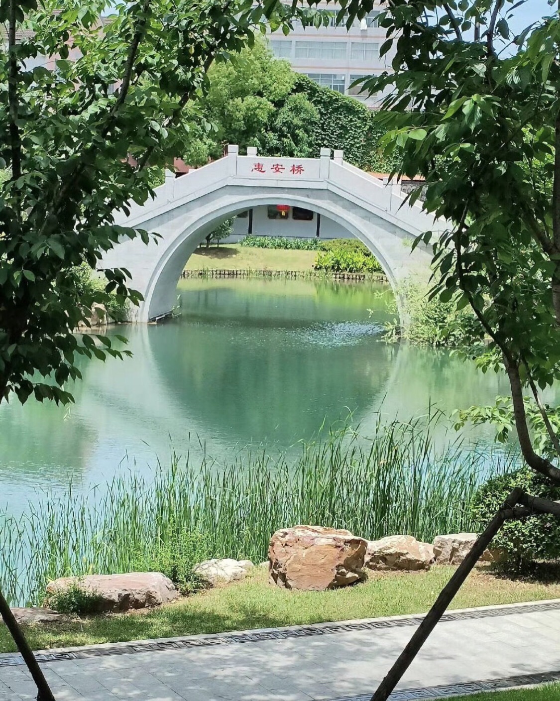 吴文化公园旅行图片 3