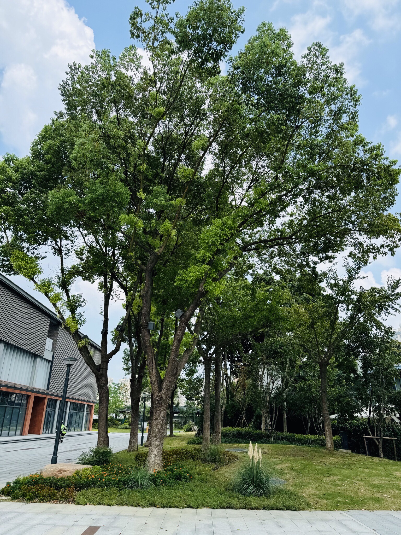 运河艺术公园旅行图片 1