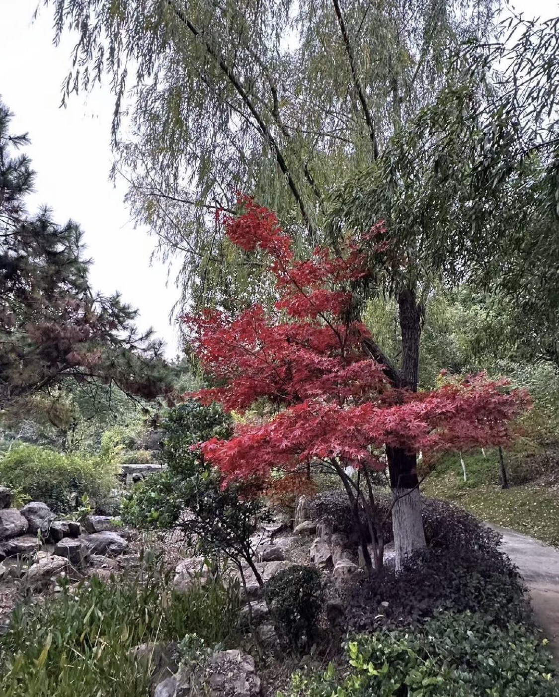 江阴滨江要塞旅游区旅行图片 2