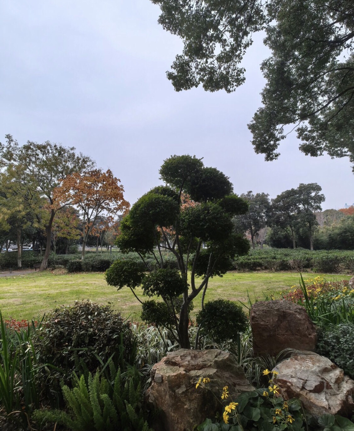 江阴滨江要塞旅游区旅行图片 1