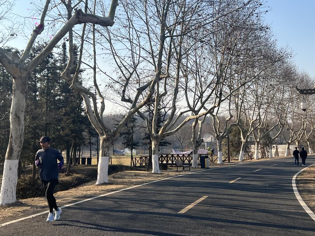 宜兴龙背山森林公园旅行图片 3