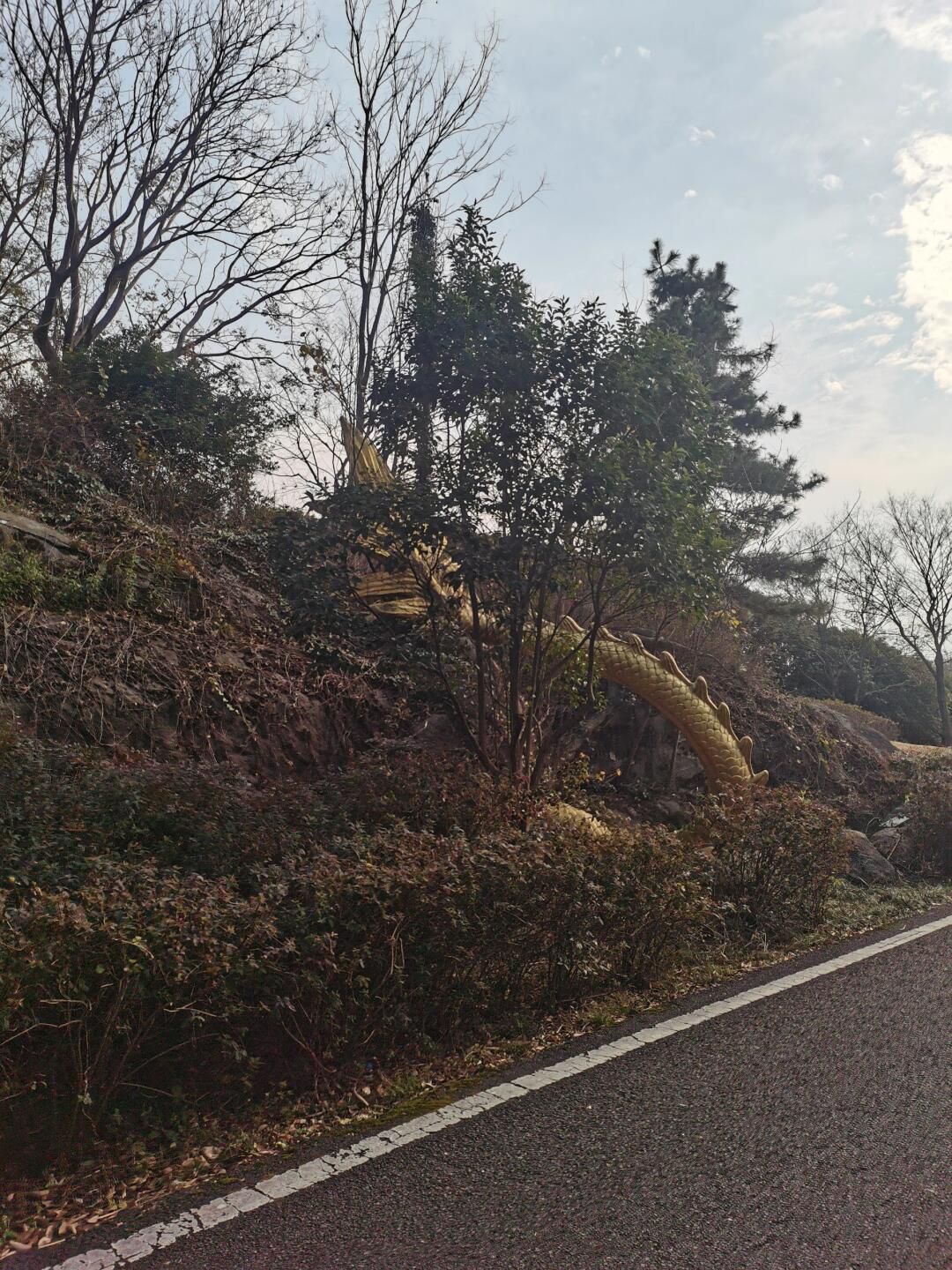 宜兴龙背山森林公园旅行图片 2