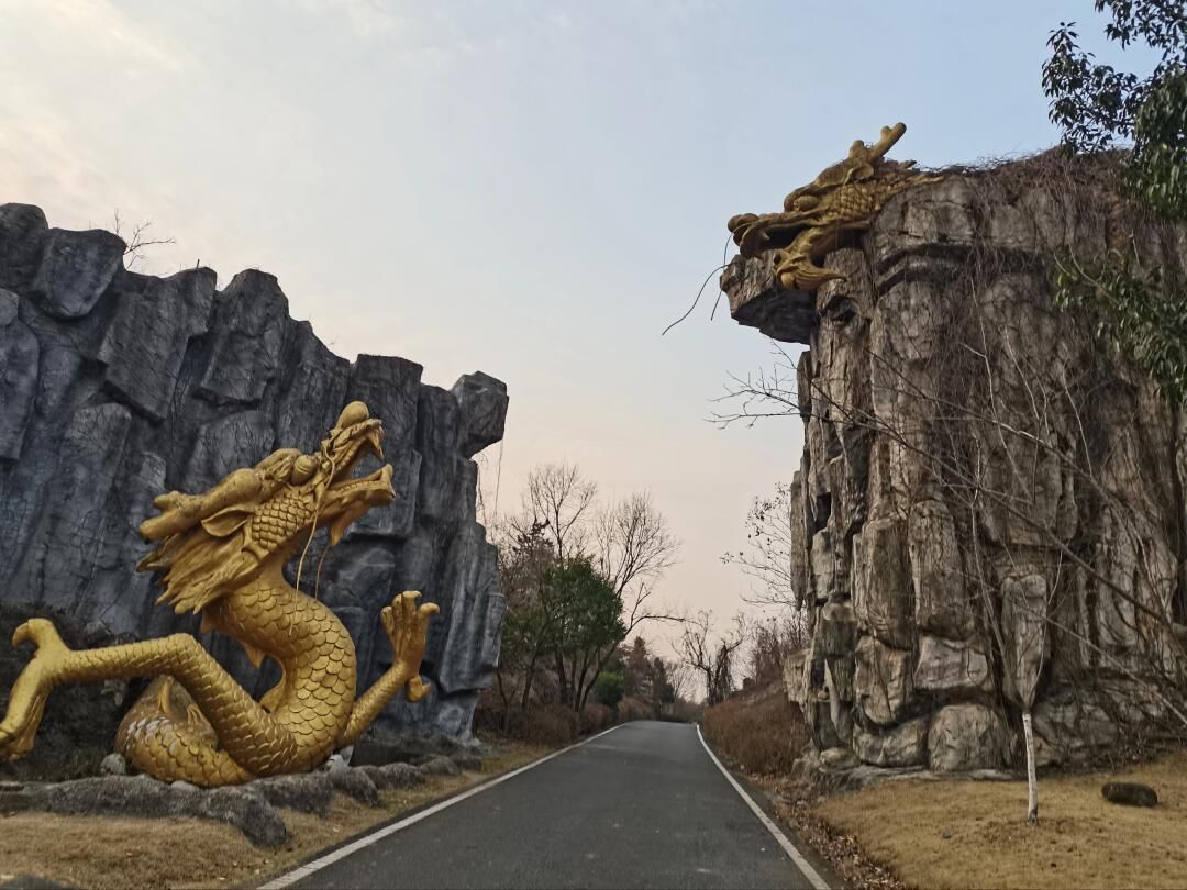 宜兴龙背山森林公园旅行图片 3