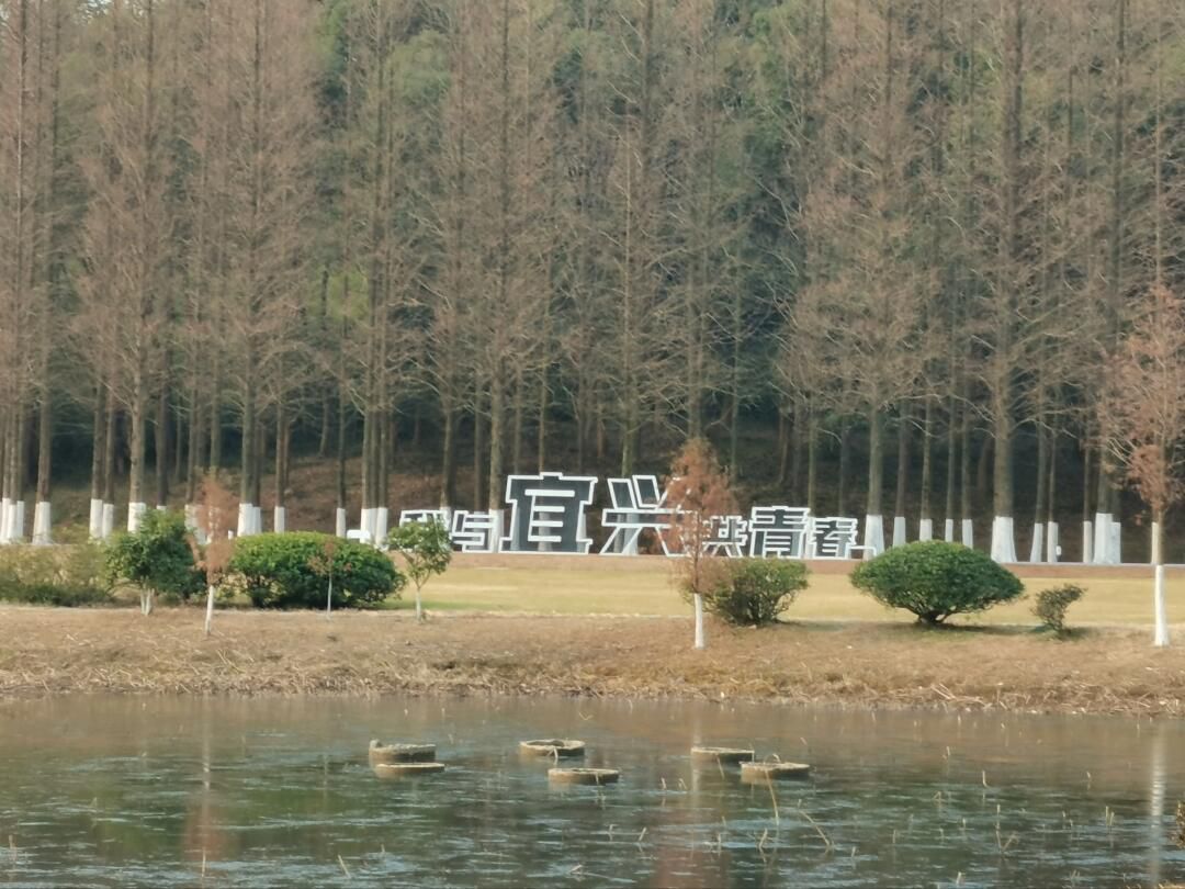 宜兴龙背山森林公园旅行图片 2