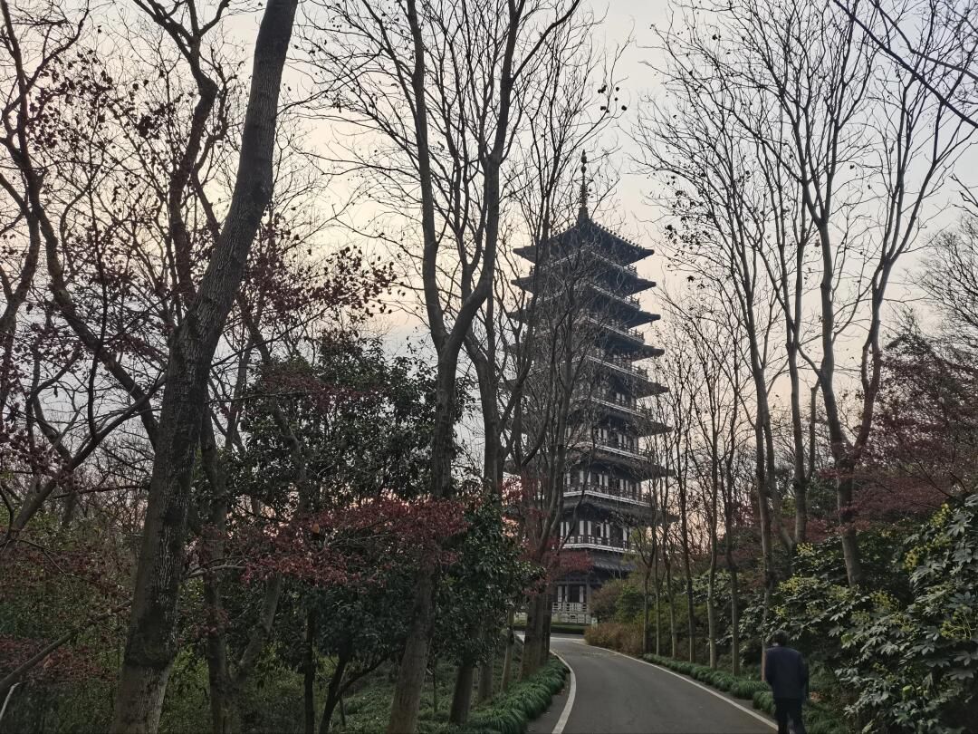 宜兴龙背山森林公园旅行图片 2