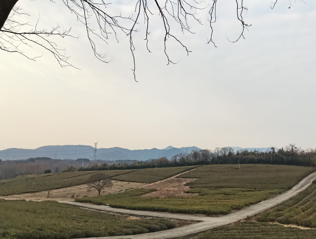 宜兴龙背山森林公园旅行图片 1