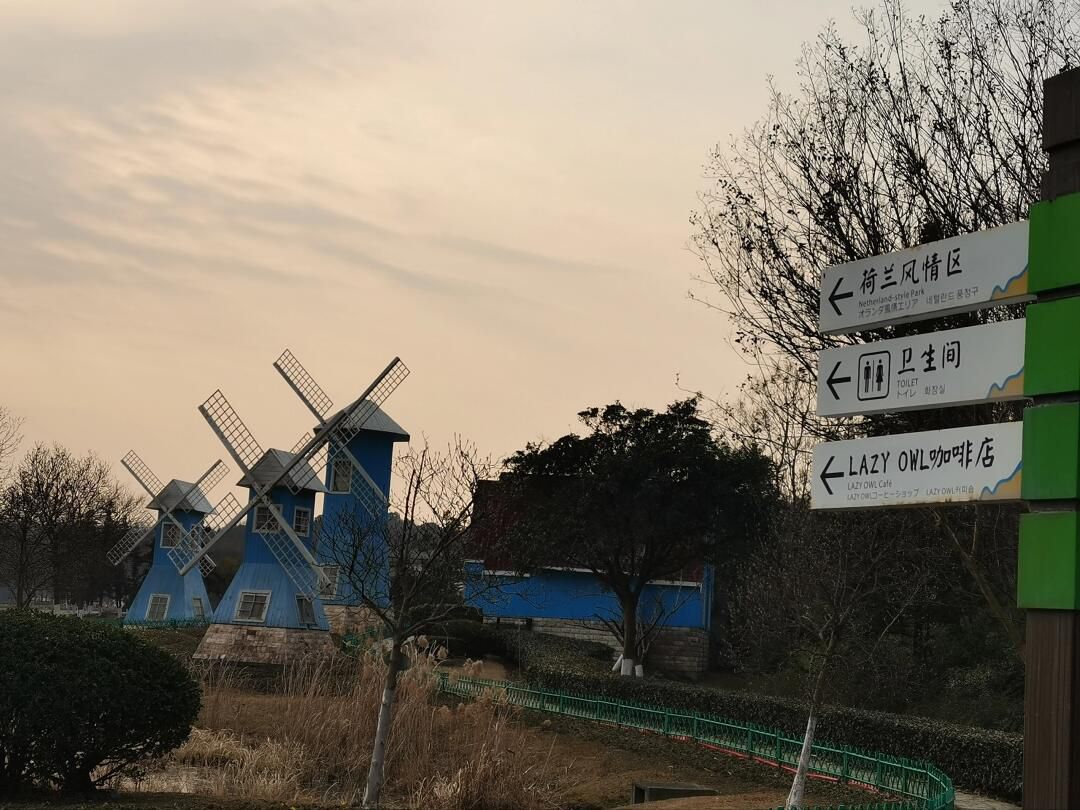 宜兴龙背山森林公园旅行图片 1