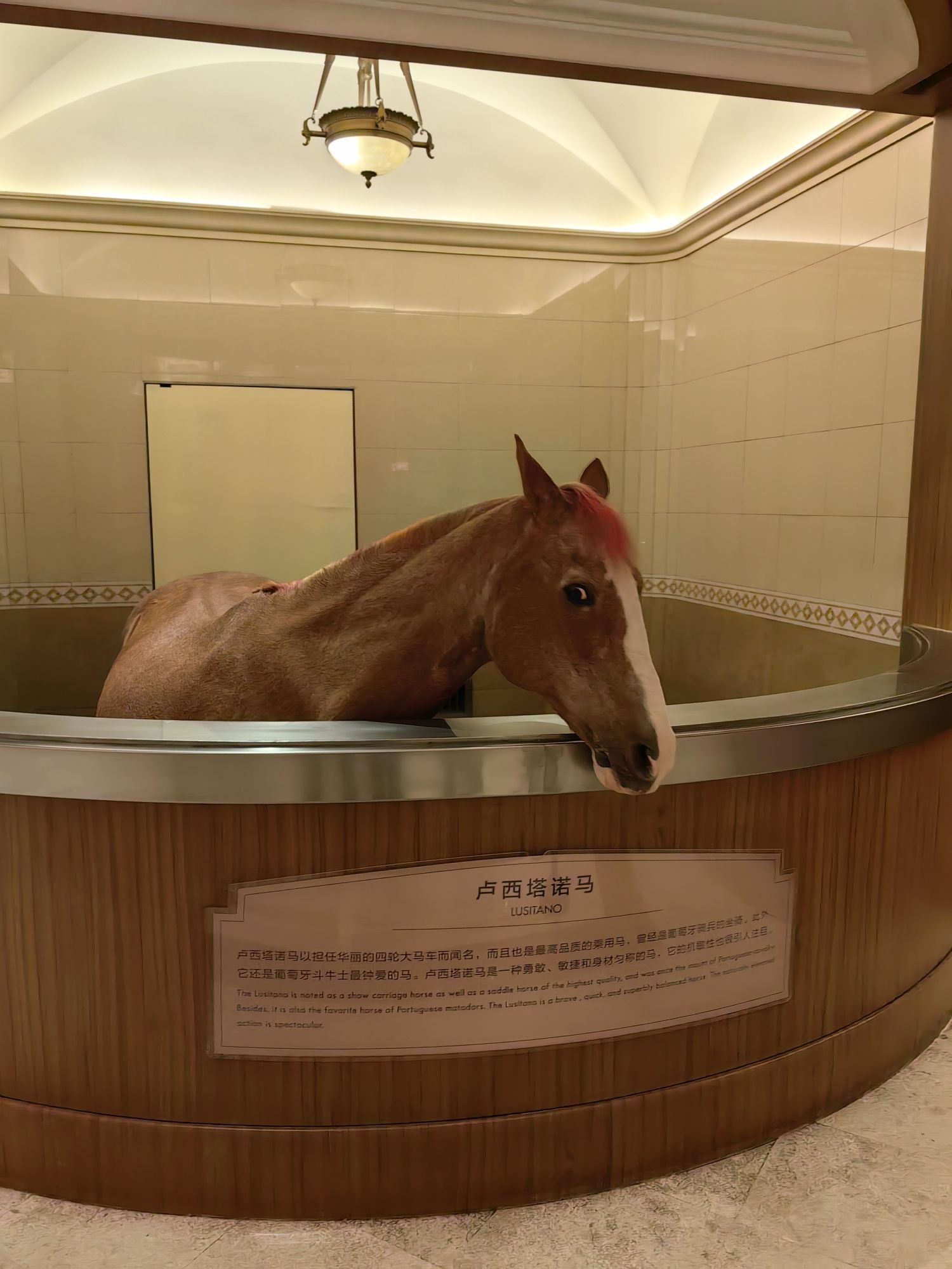飞马水城旅游度假区旅行图片 3