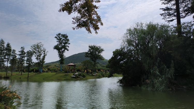 阳山桃花源景区旅行图片 1