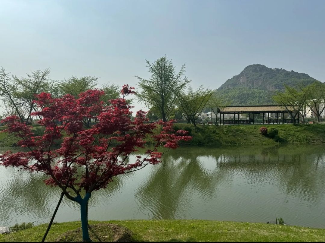 阳山桃花源景区旅行图片 1