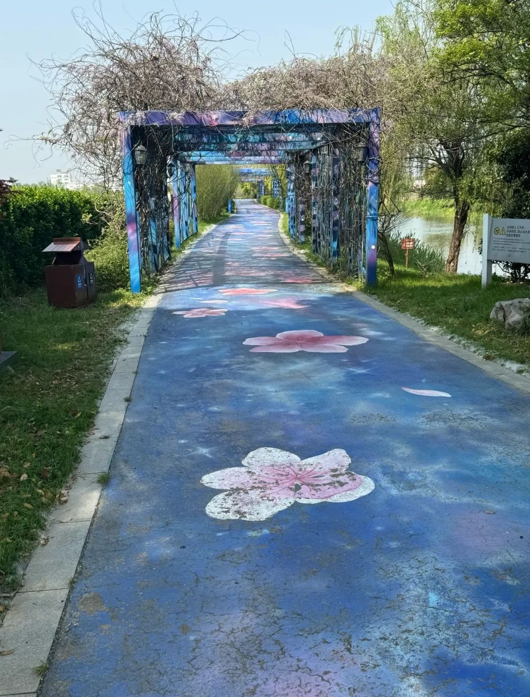 阳山桃花源景区旅行图片 3